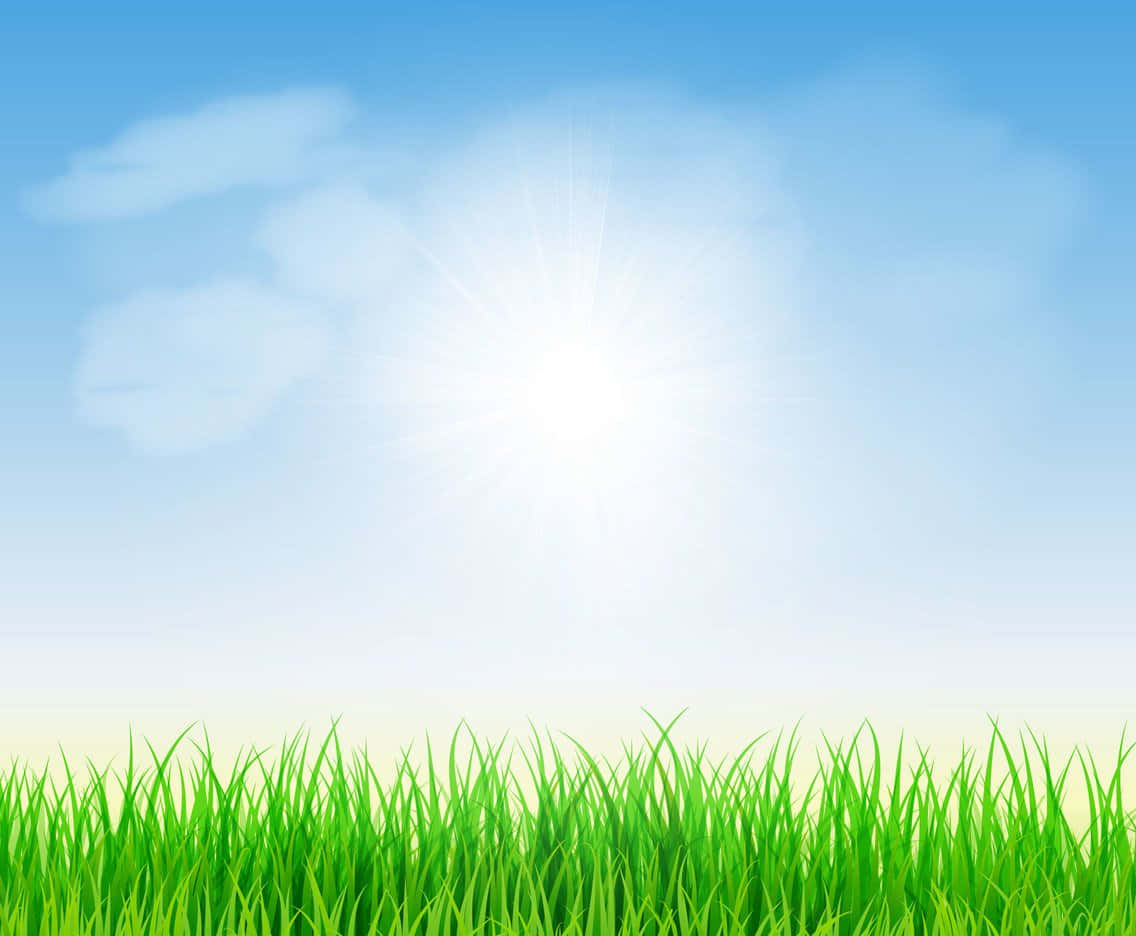 背景 桌布 壁紙 — 充滿活力的綠草在明亮的陽光下搖曳，天空清澈湛藍，飄著柔軟的白雲。