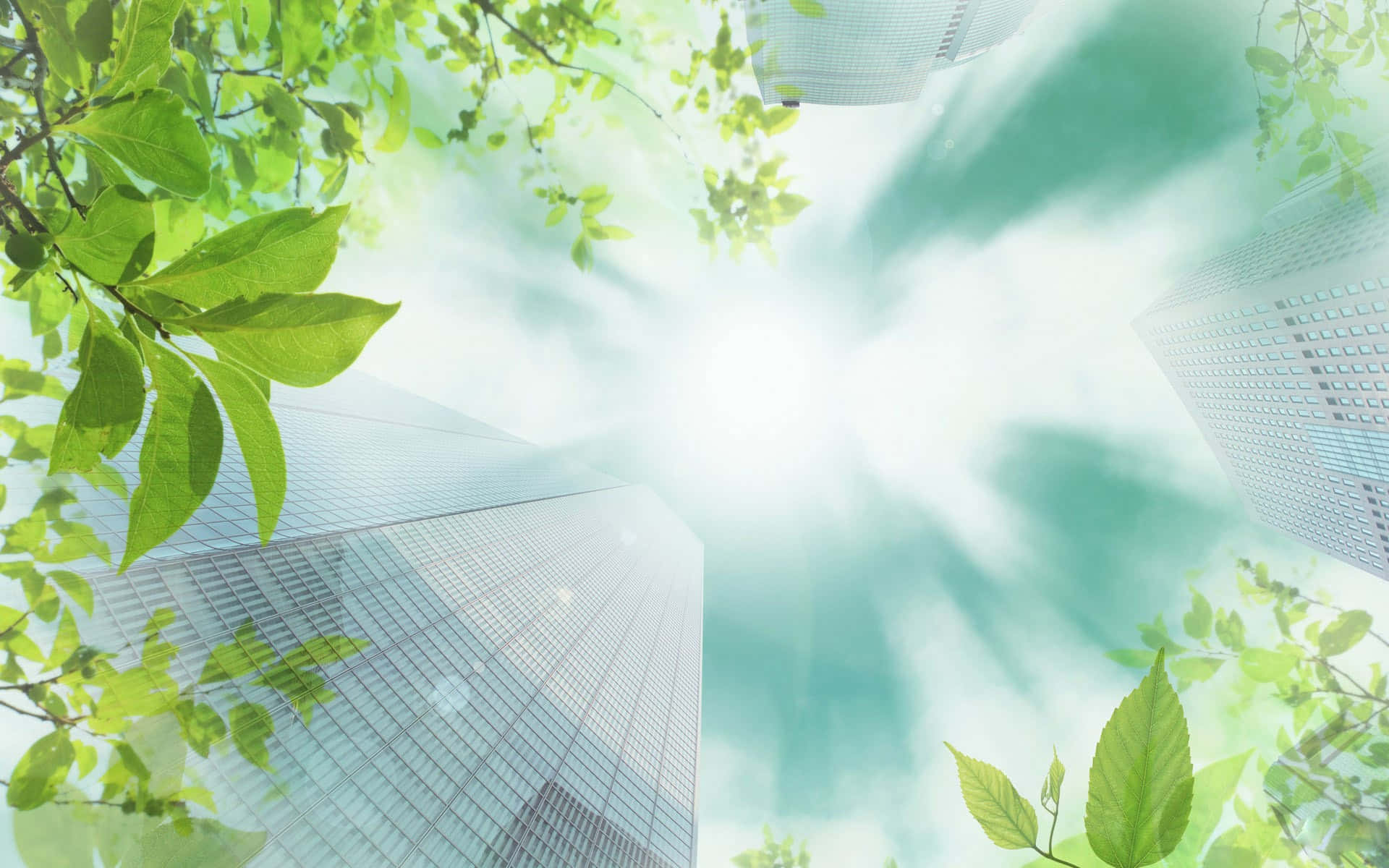 Eco-tourism 桌布 壁紙 — 充滿活力的綠葉框住了現代城市景觀中高聳的玻璃摩天大樓之間的明亮陽光。