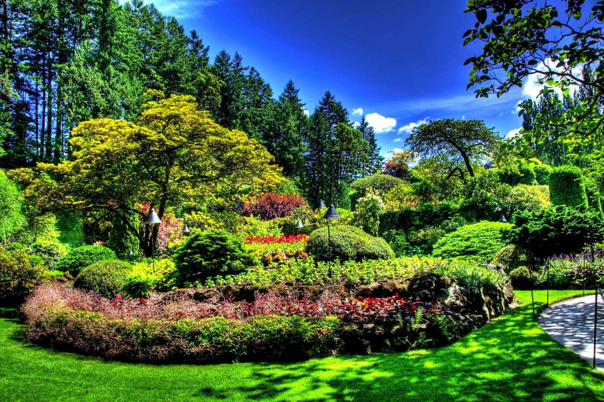 Beautiful Place 桌布 壁紙 — 充滿活力的花園，有茂密的綠植、色彩繽紛的花朵和高大的樹木，在明亮的藍天和蓬鬆的白雲下。