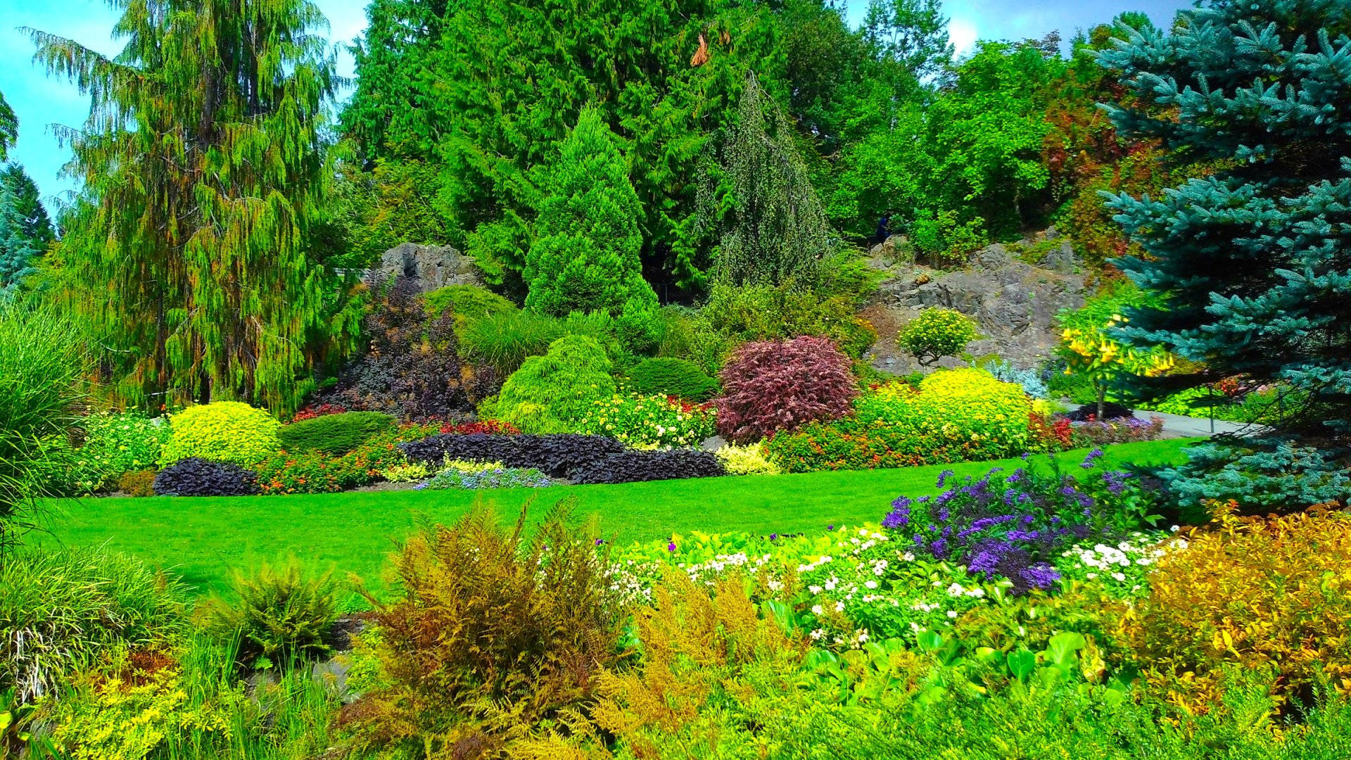 Istanbul 桌布 壁紙 — 充滿活力的花園，綻放著色彩繽紛的花朵和茂密的綠植，在明亮的藍天下。