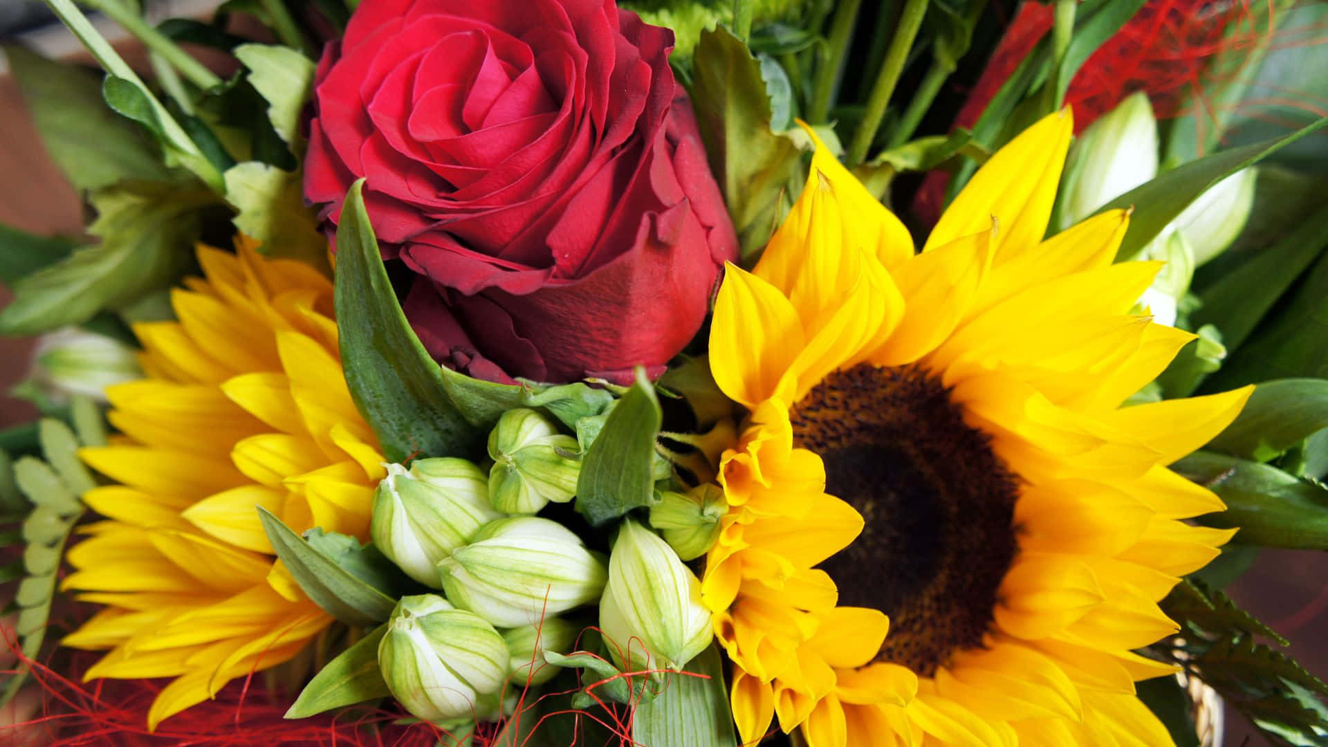Roses 桌布 壁紙 — 充滿活力的花束，包含大膽的黃色向日葵和深紅玫瑰，搭配綠色花蕾和葉子。