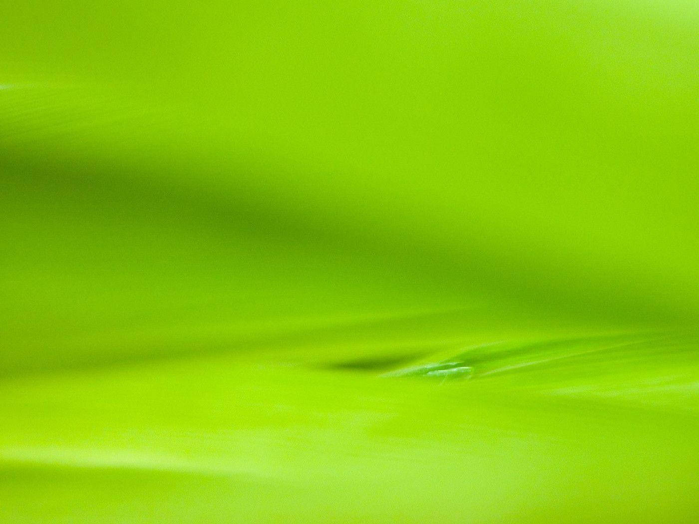 Plain Green 桌布 壁紙 — 充滿活力的萊姆綠色抽象紋理，帶有柔和模糊的漸變和細微的高光。