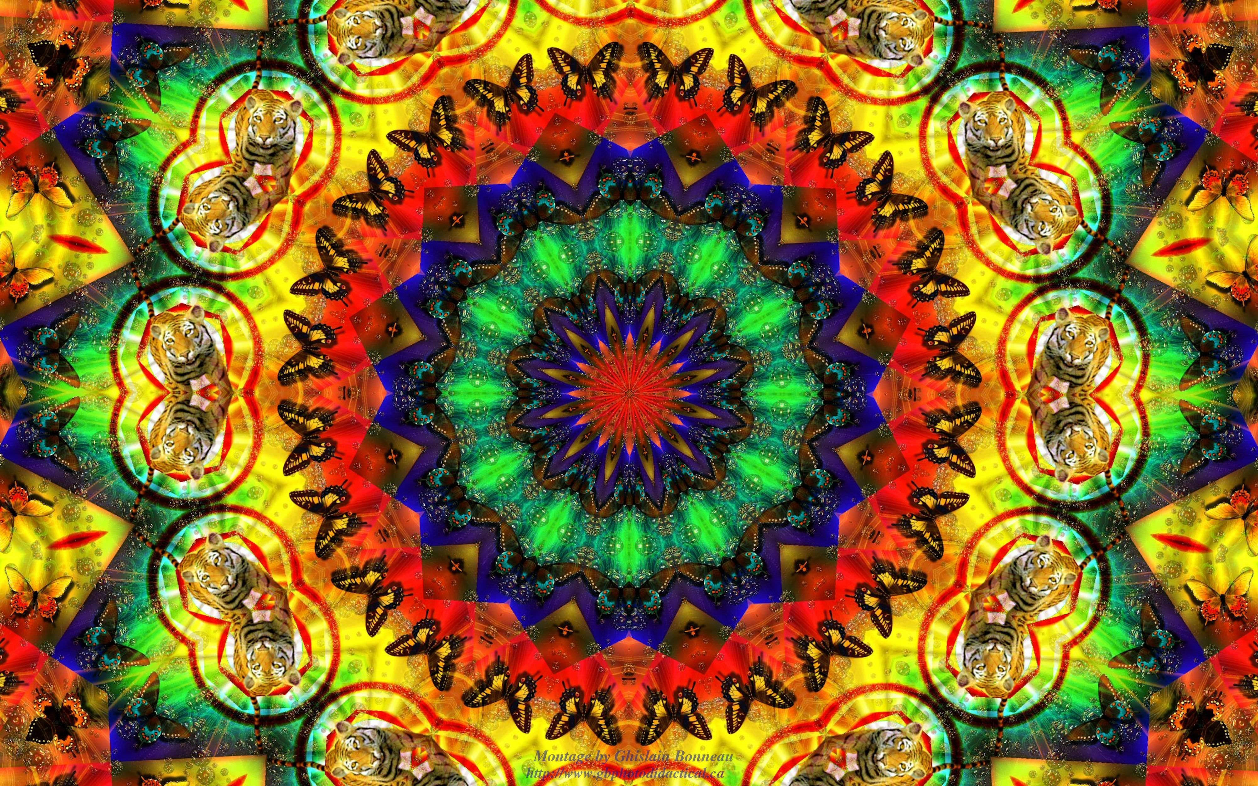 嬉皮 桌布 壁紙 — 充滿活力的萬花筒曼陀羅，以重複的老虎頭和蝴蝶為特色，呈現火熱的彩虹色。