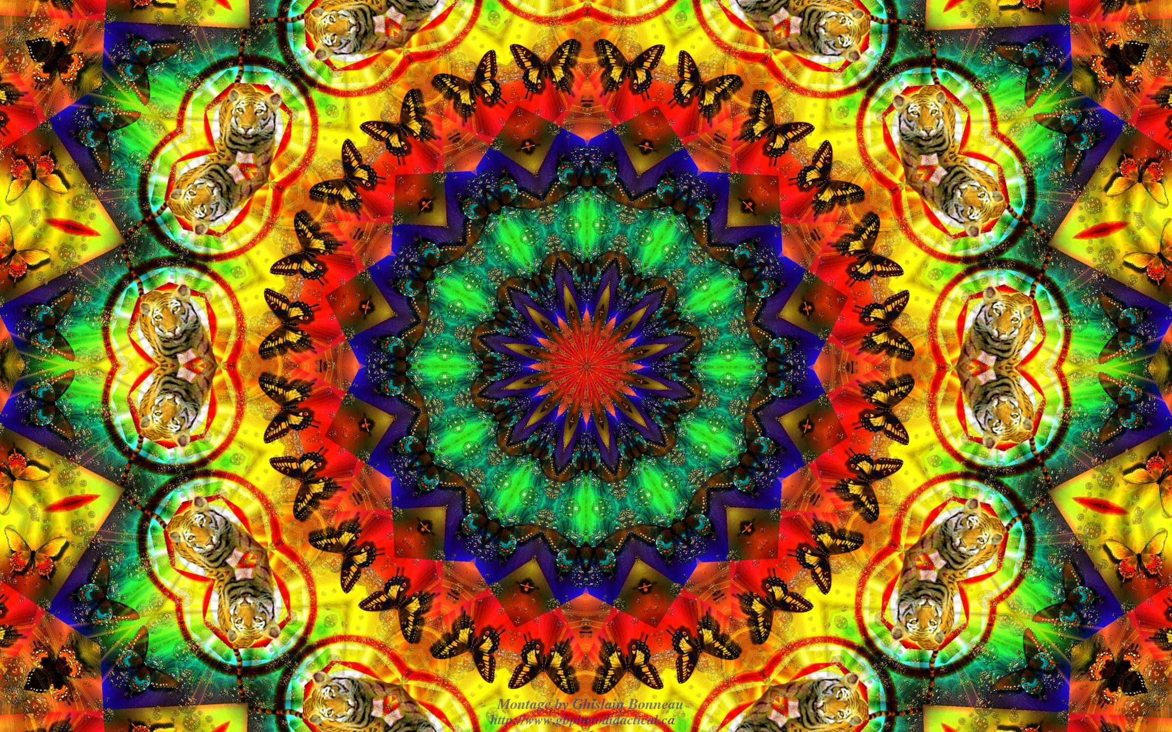 Hippie Aesthetic Laptop 桌布 壁紙 — 充滿活力的萬花筒曼陀羅，以電光彩虹色調重複出現老虎頭和蝴蝶。