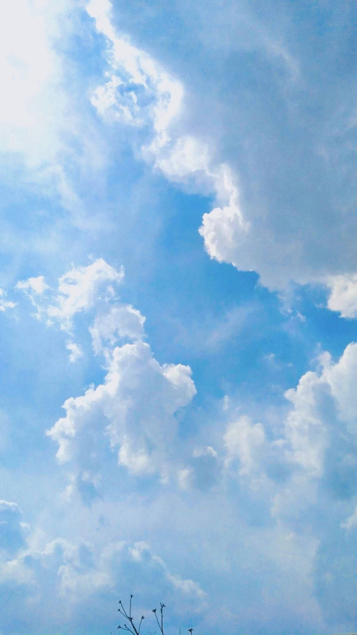 Aesthetic Cloud 桌布 壁紙 — 充滿活力的藍天，滿是蓬鬆的白雲，底部略帶光禿的樹枝。