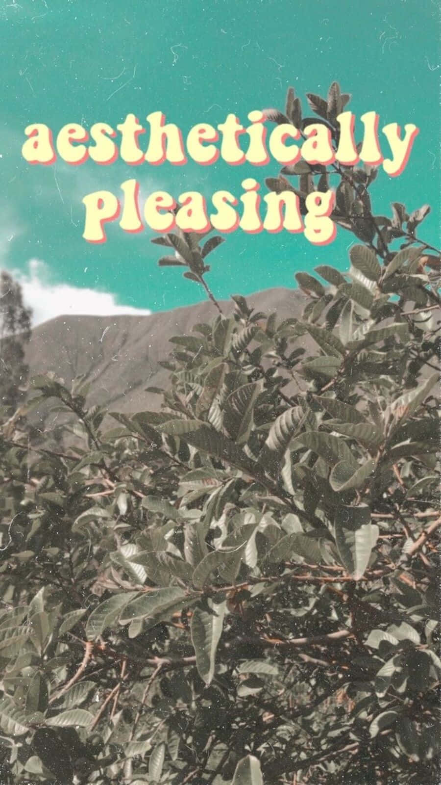 Vintage Aesthetic Plant 桌布 壁紙 — 充滿活力的藍綠色天空框住了茂密的綠色樹葉，遠處有山脈，復古文字寫著「美學上令人愉悅」。