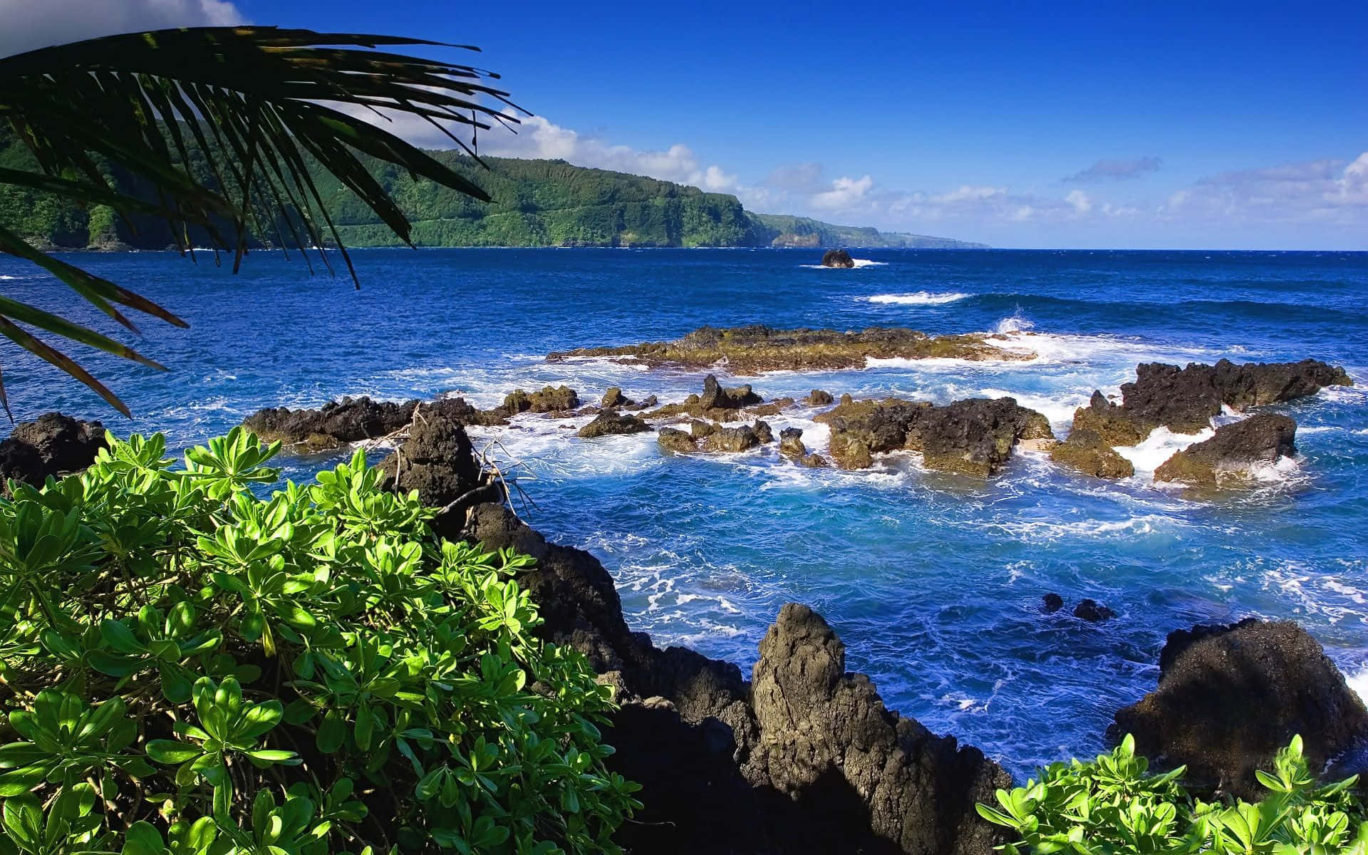 Beach Scene 桌布 壁紙 — 充滿活力的藍綠色波浪衝擊著深色火山岩，周圍環繞著茂密的綠色樹葉和棕櫚葉，在清澈的藍天下。