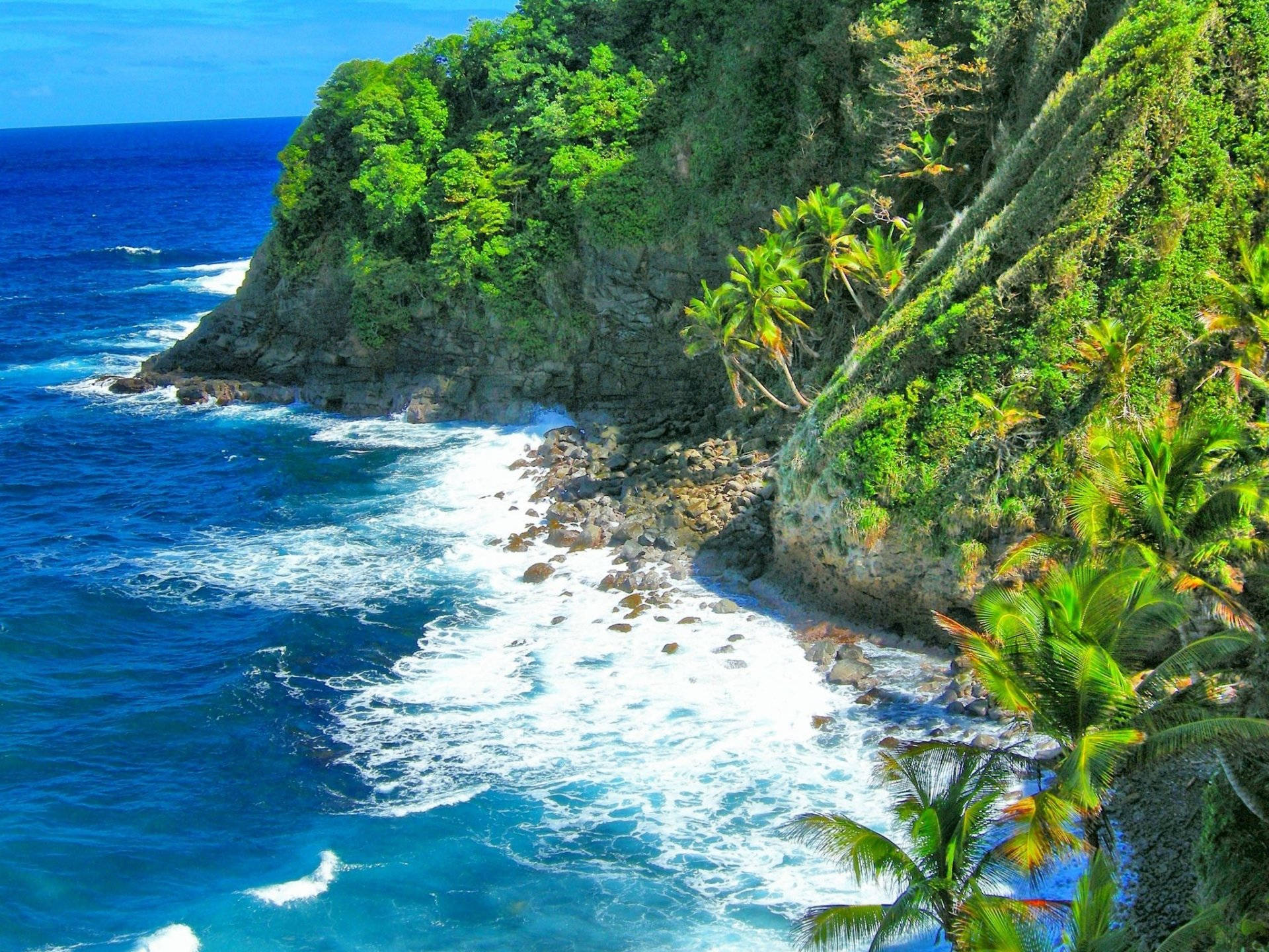 Caribbean 桌布 壁紙 — 充滿活力的藍綠色海浪拍打岩石海岸，下方是茂密的綠色懸崖，點綴著棕櫚樹，上方是清澈的藍天。