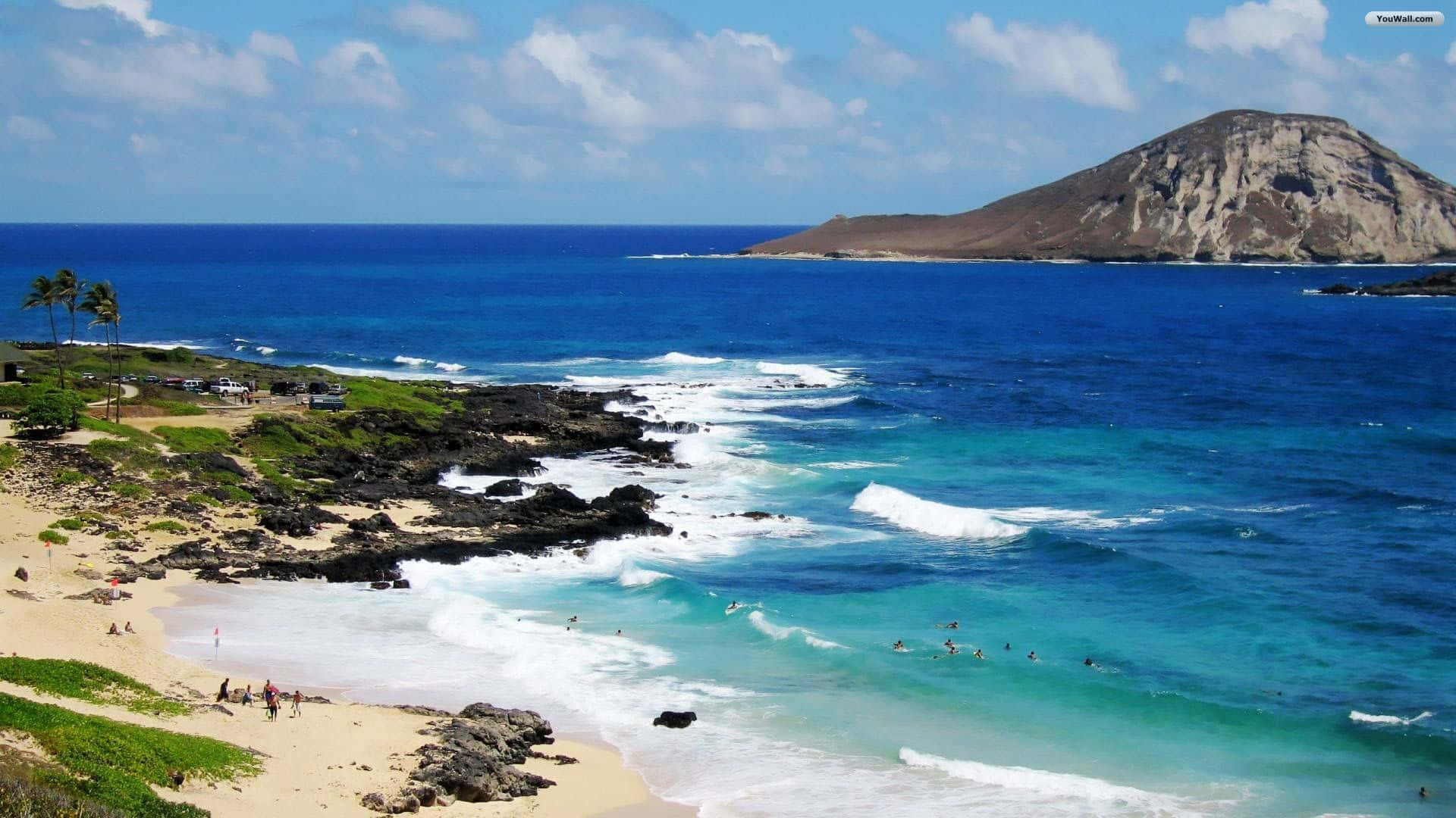 Hawaiian Beach 桌布 壁紙 — 充滿活力的藍綠色海浪拍打著黑色熔岩岩石，旁邊是沙灘，棕櫚樹和遠處的衝浪者在明亮的藍天下。