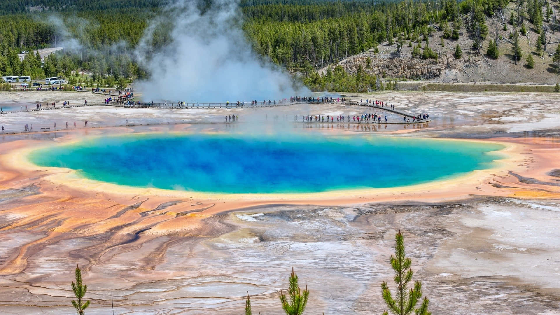 Yellowstone 桌布 壁紙 — 充滿活力的藍綠色溫泉，周圍環繞著橙色礦物沉積物，蒸氣升騰，遊客在森林覆蓋的黃石公園的木板路上行走。