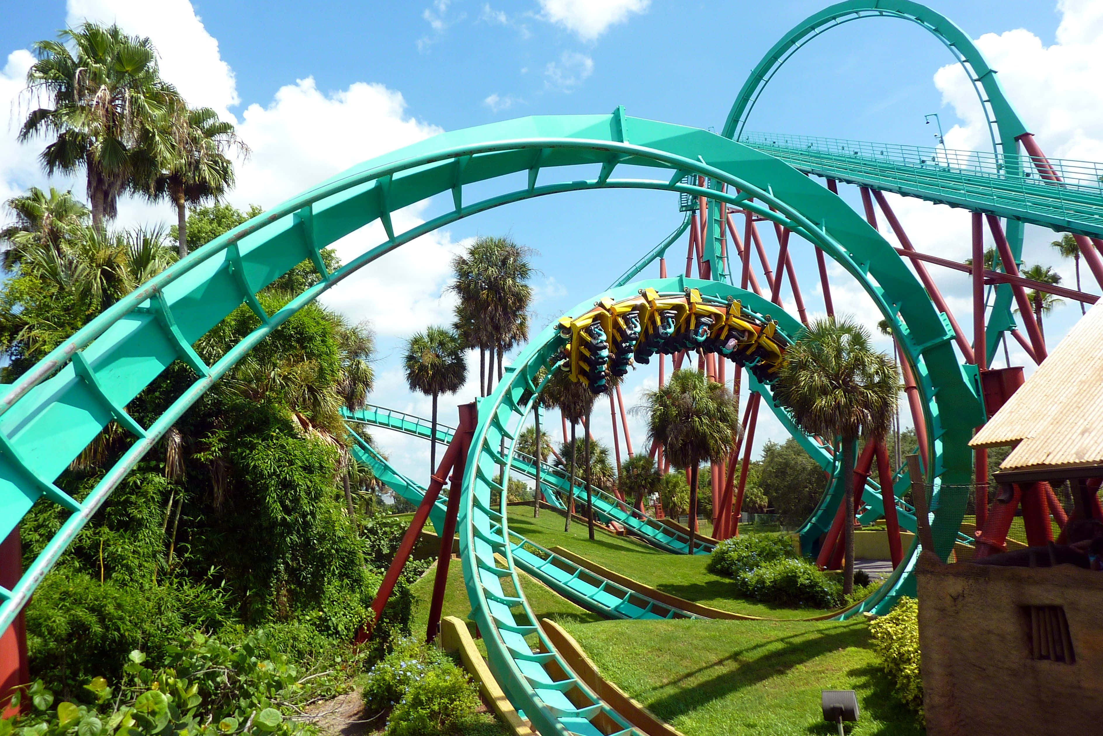 Roller Coaster 桌布 壁紙 — 充滿活力的藍綠色雲霄飛車在茂密的棕櫚樹間蜿蜒穿梭，上方是明亮的藍天和蓬鬆的白雲。