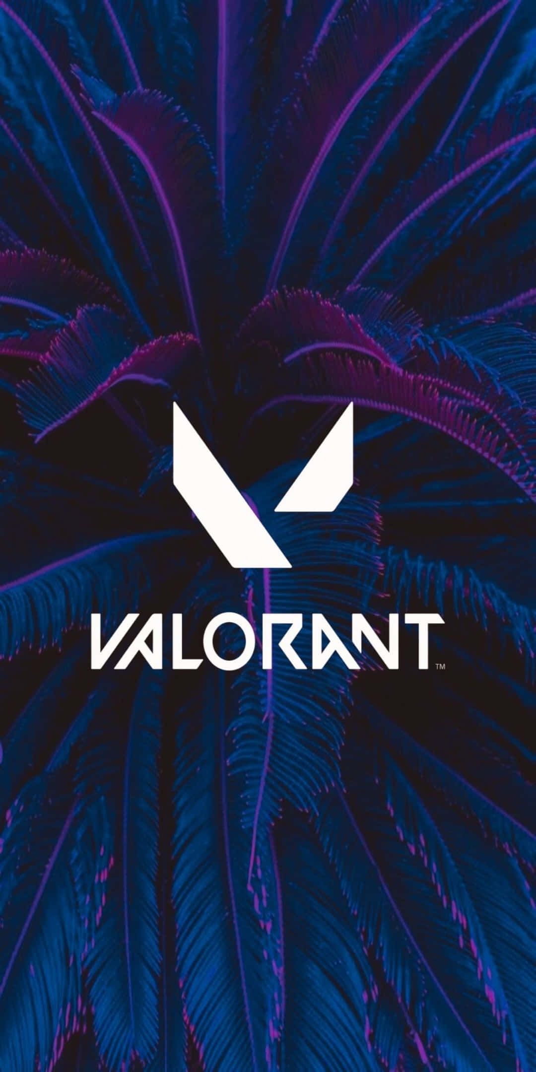 Pixel 3 Valorant 桌布 壁紙 — 充滿活力的藍色和紫色羽毛背景，白色Valorant標誌居中突出顯示。