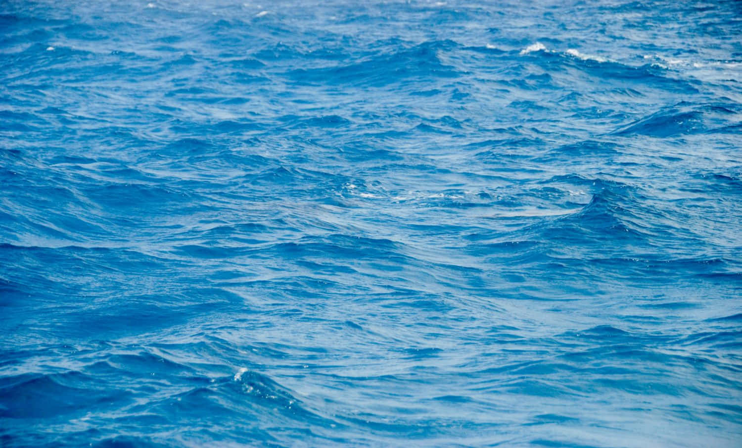 Water Texture 桌布 壁紙 — 充滿活力的藍色海浪在紋理水面上反射陽光，泛起漣漪。