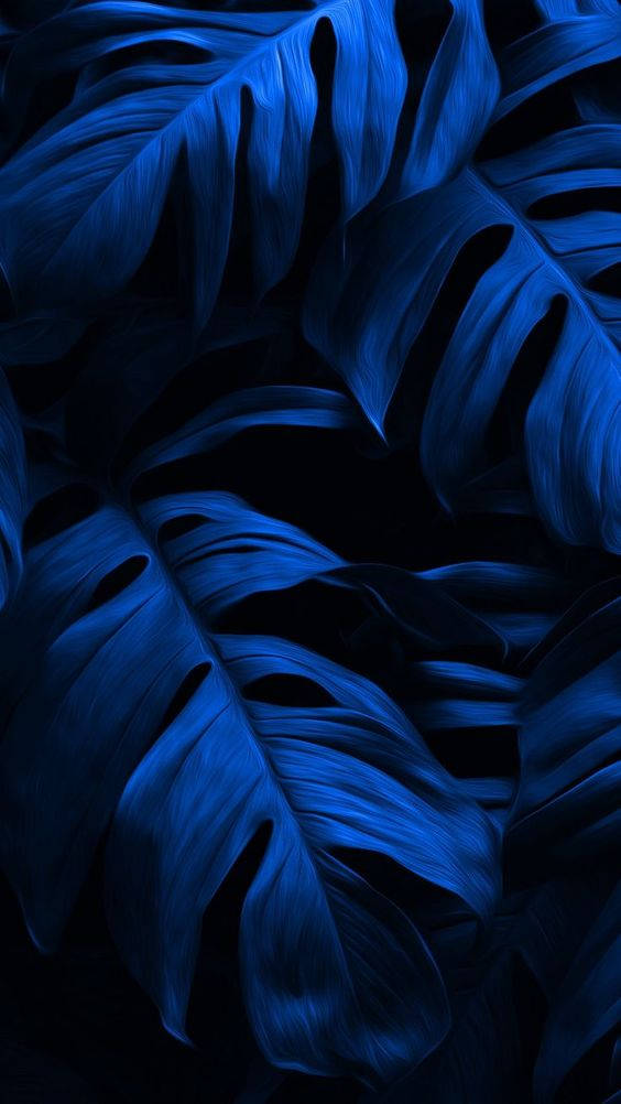 dark blue aesthetic tumblr 桌布 壁紙 — 充滿活力的藍色龜背竹葉在深黑色背景上層疊，構成戲劇性的數位藝術作品。