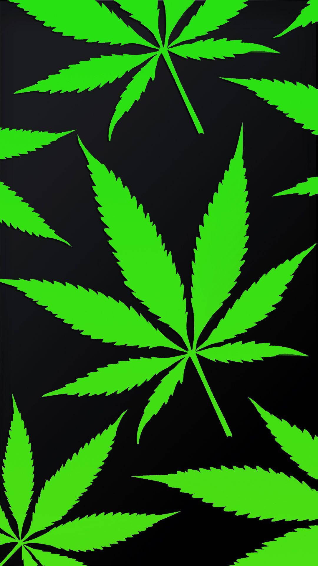 黑色 桌布 壁紙 — 充滿活力的螢光綠色大麻葉在純黑色背景上以重複圖案漂浮。