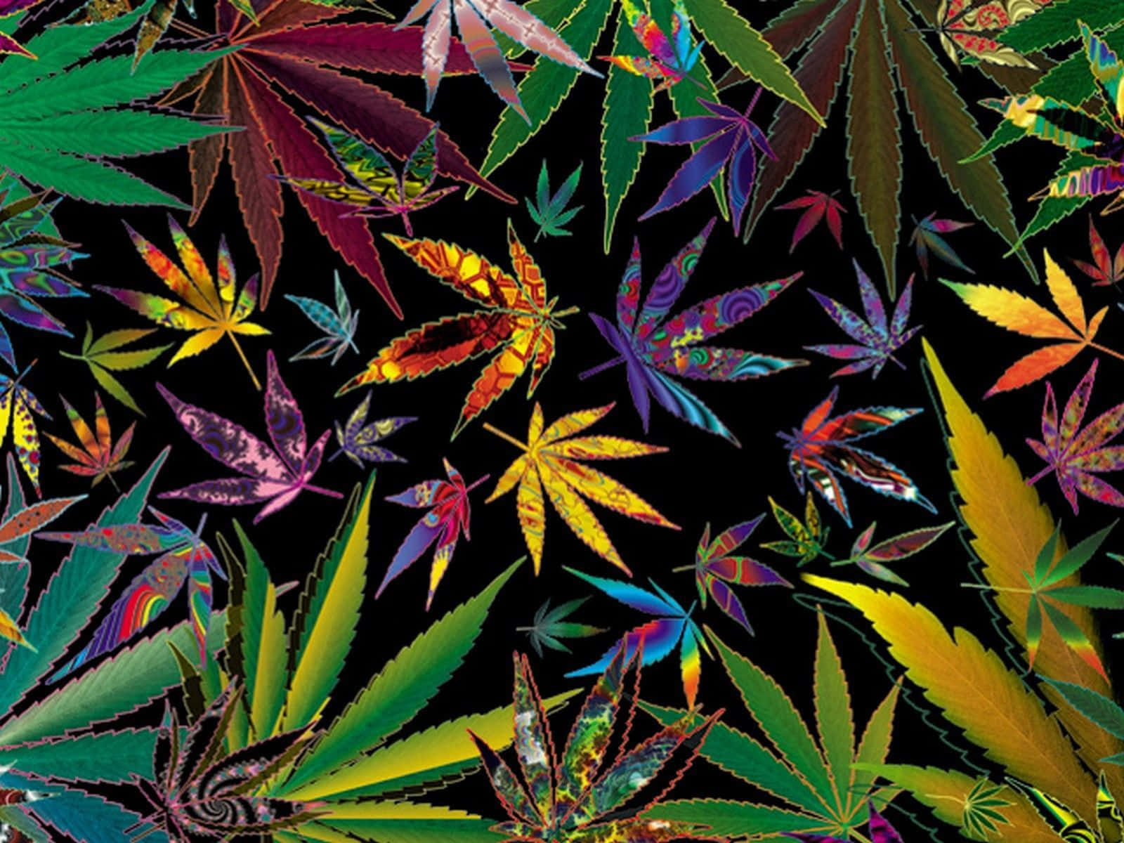 420 桌布 壁紙 — 充滿活力的迷幻大麻葉以彩虹色調漂浮在純黑背景上。