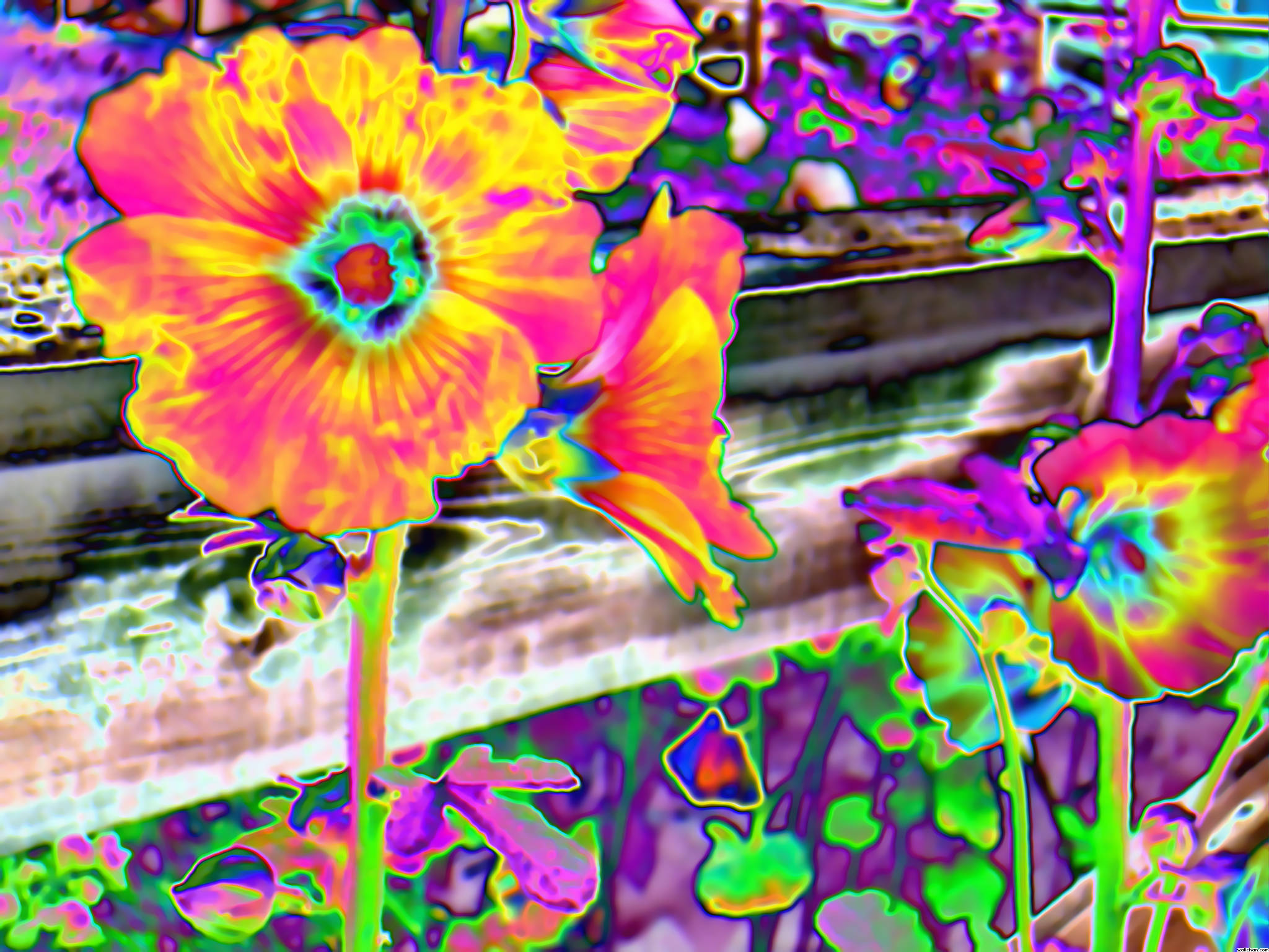 HD Psychedelic 桌布 壁紙 — 充滿活力的迷幻花朵帶有霓虹輪廓，在木柵欄旁綻放，形成超現實、高對比度的數位花園。