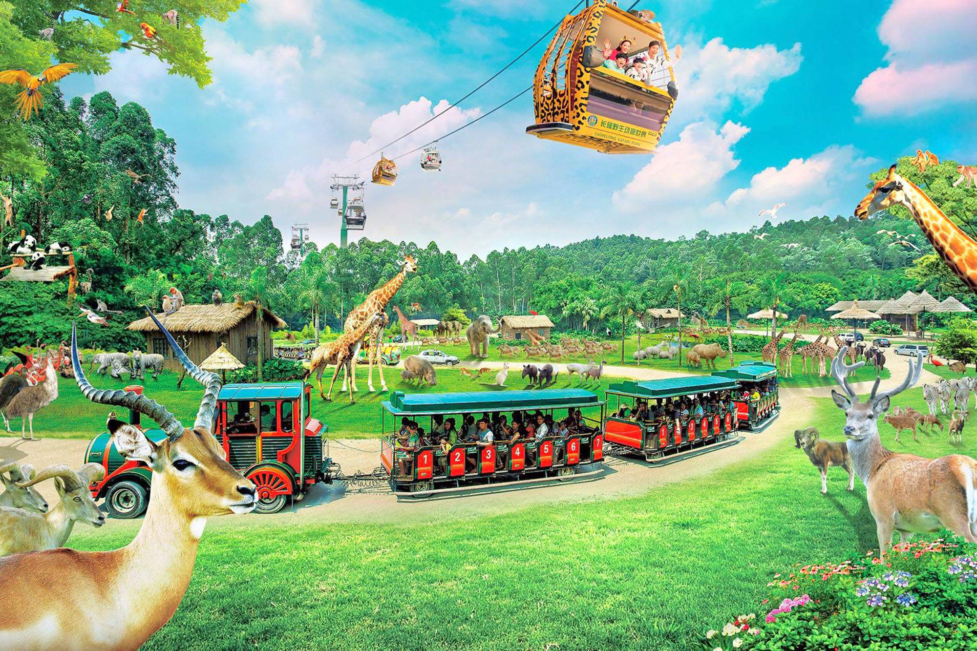 Guangzhou 桌布 壁紙 — 充滿活力的野生動物園場景，遊客乘坐火車和纜車，周圍環繞著長頸鹿、羚羊和茂密的綠色植物，在明亮的藍天下。