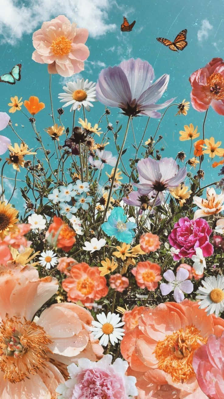 Flowers 桌布 壁紙 — 充滿活力的野花，以粉紅、橙和紫色的柔和色調綻放，映襯著明亮的藍綠色天空，蝴蝶翩翩飛舞。