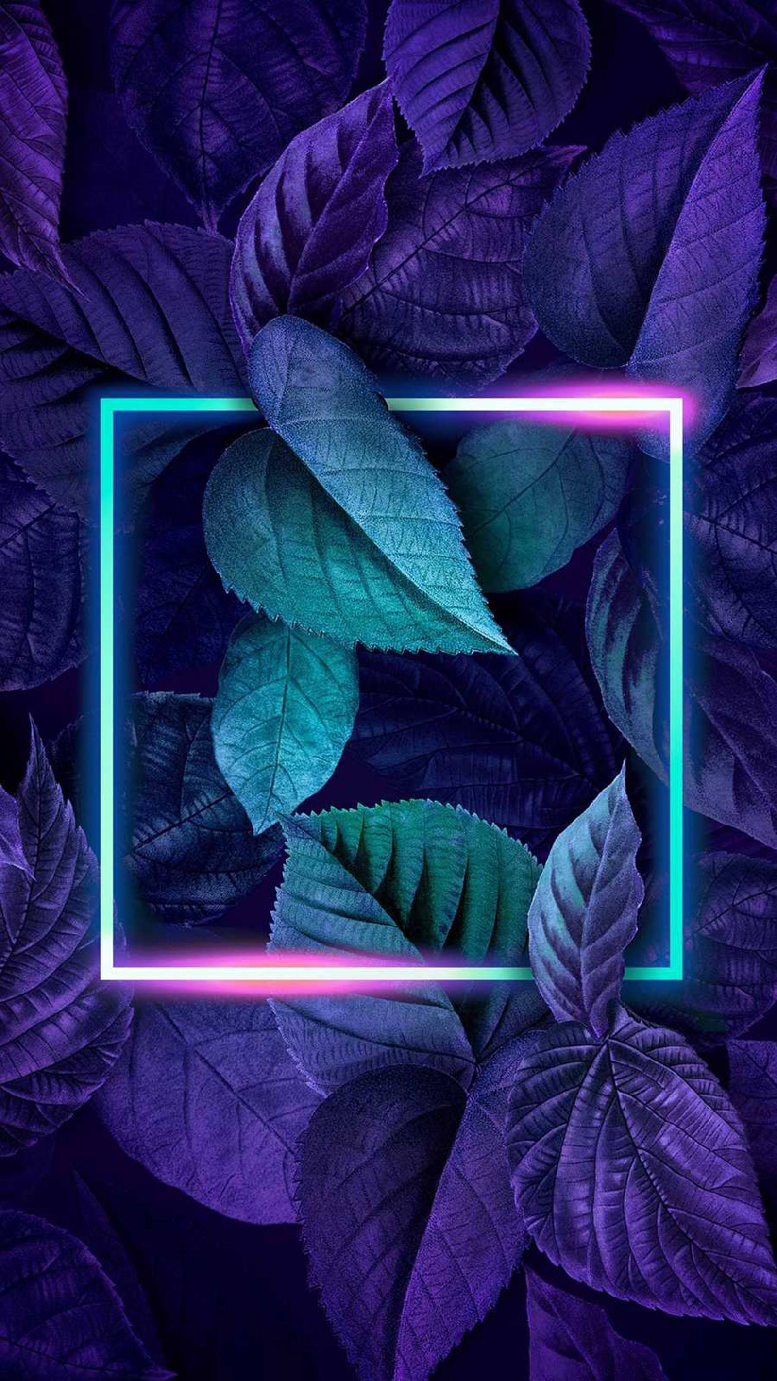 Neon Phone 桌布 壁紙 — 充滿活力的霓虹方形框架在深紫色葉子背景上閃耀著青綠色葉子。