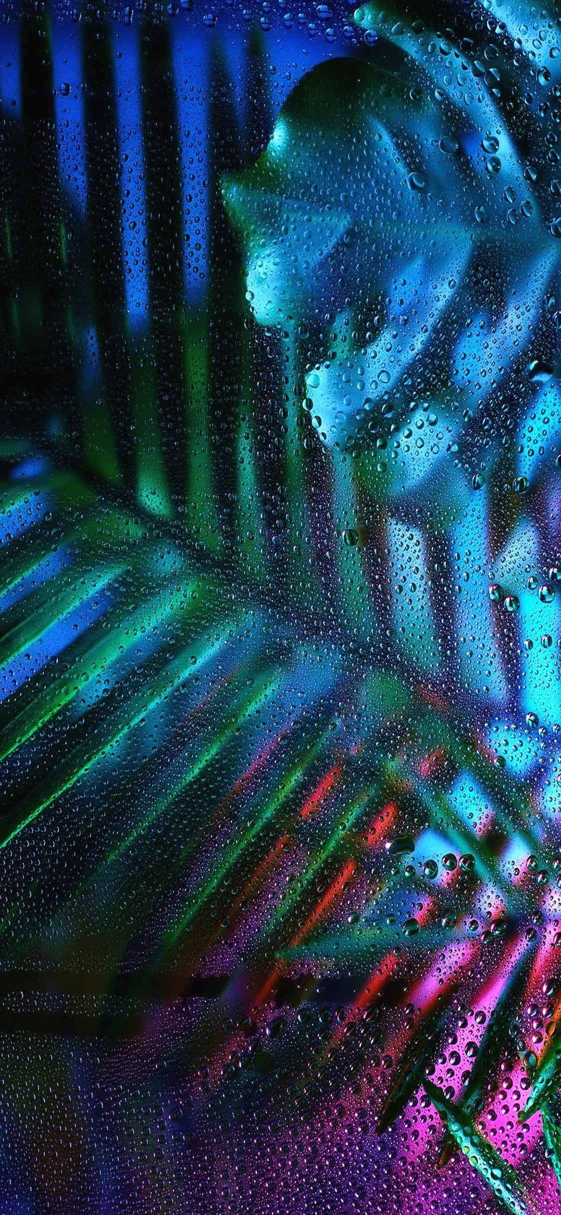 Screen 桌布 壁紙 — 充滿活力的霓虹燈光透過被雨水打濕的玻璃反射，顯現出模糊的棕櫚葉和發光的色彩條紋。