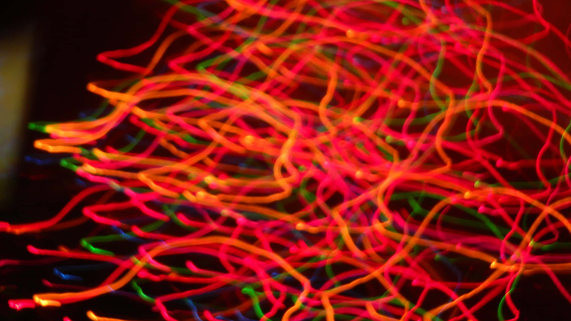 Trippy Neon Lights 桌布 壁紙 — 充滿活力的霓虹燈絲，以紅色、橙色和綠色在深色背景上發光，形成動態的抽象圖案。