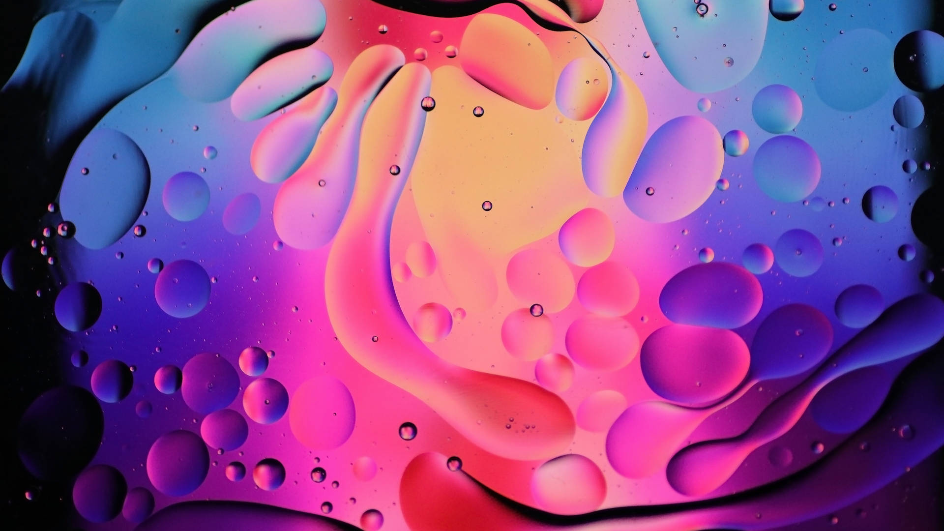 Bubbles 桌布 壁紙 — 充滿活力的霓虹粉紅、紫色和藍色漩渦油滴在黑色背景上創造出迷人的抽象流體圖案。