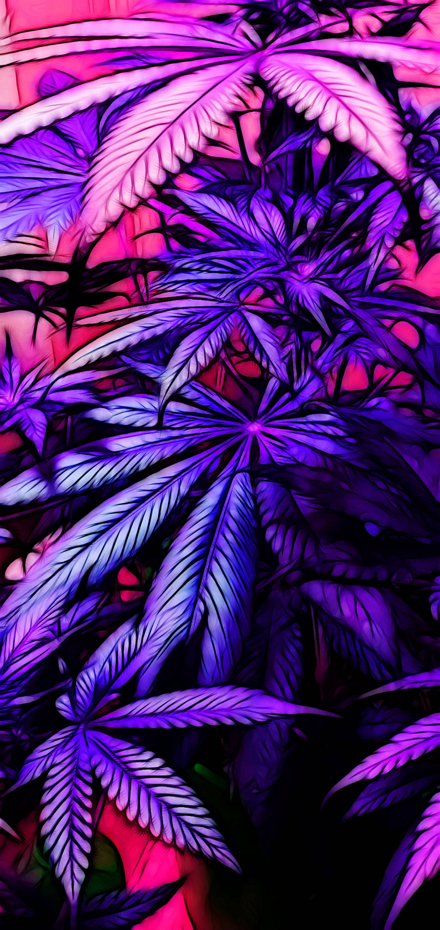 iPhone 桌布 壁紙 — 充滿活力的霓虹紫色和粉紅色大麻葉在黑暗背景上發光，呈現出風格化的數位藝術作品。