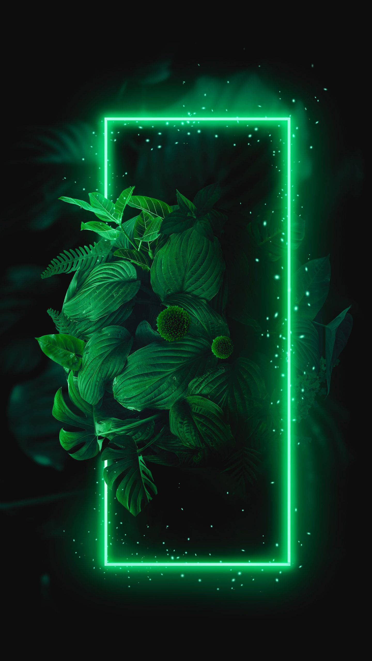 Leaves 桌布 壁紙 — 充滿活力的霓虹綠色矩形框在黑色背景上發光，包圍著茂盛的熱帶樹葉和閃爍的粒子。
