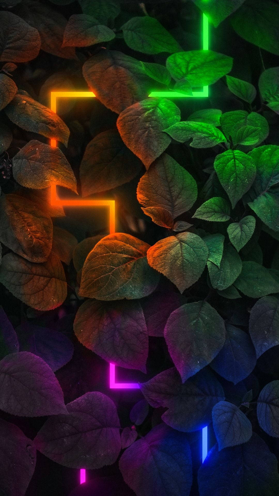 Dark Neon 桌布 壁紙 — 充滿活力的霓虹線條，橙色、綠色、紫色和藍色，穿過濃密的深色樹葉發光，營造出 cyberpunk 叢林的氛圍。