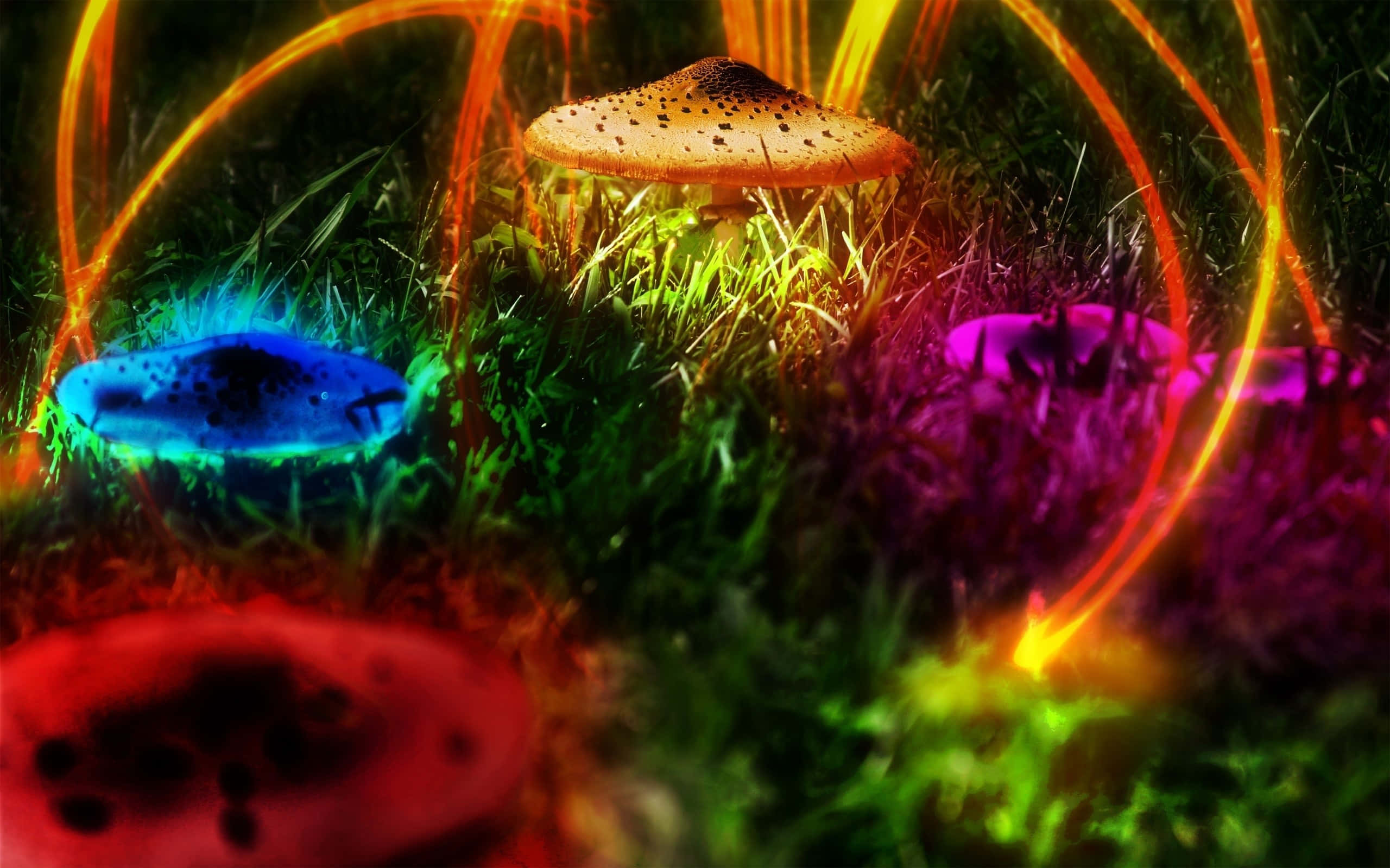 Trippy Nature 桌布 壁紙 — 充滿活力的霓虹色發光蘑菇從茂密的草叢中冒出，伴隨著旋轉的光跡。