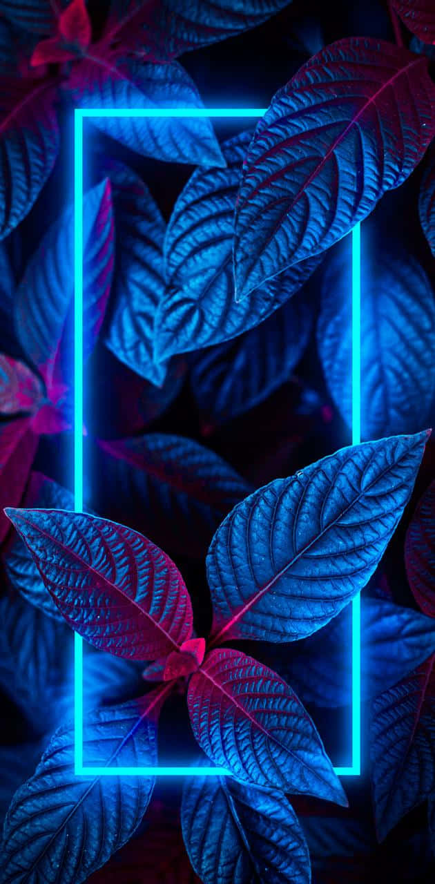 Frame 桌布 壁紙 — 充滿活力的霓虹藍色框架，在深紫色和藍色葉子的暗色樹葉中發光。