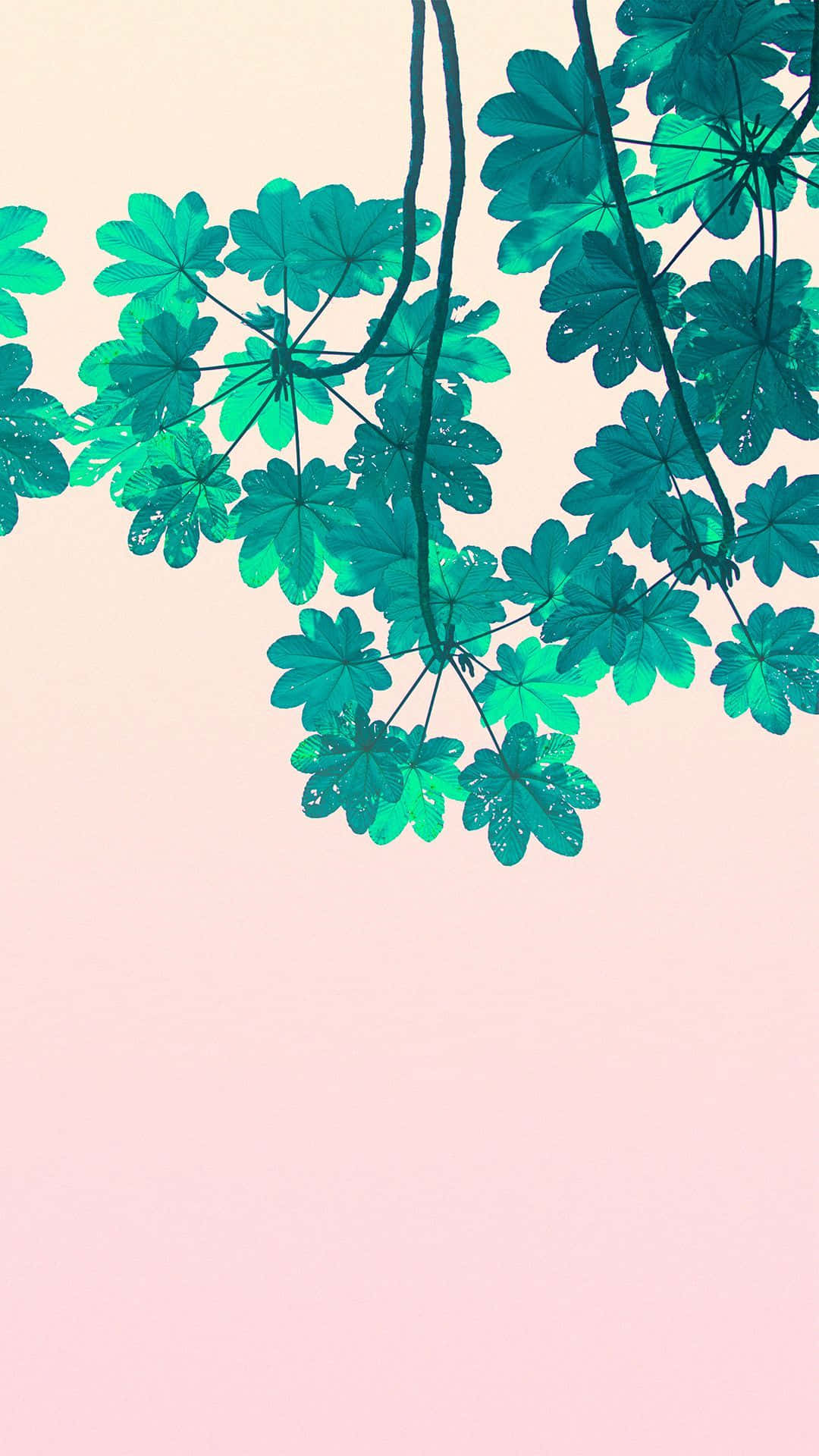 Leaves 桌布 壁紙 — 充滿活力的青綠色葉子優雅地垂掛在柔和的粉紅色漸變天空前，營造出寧靜的植物場景。
