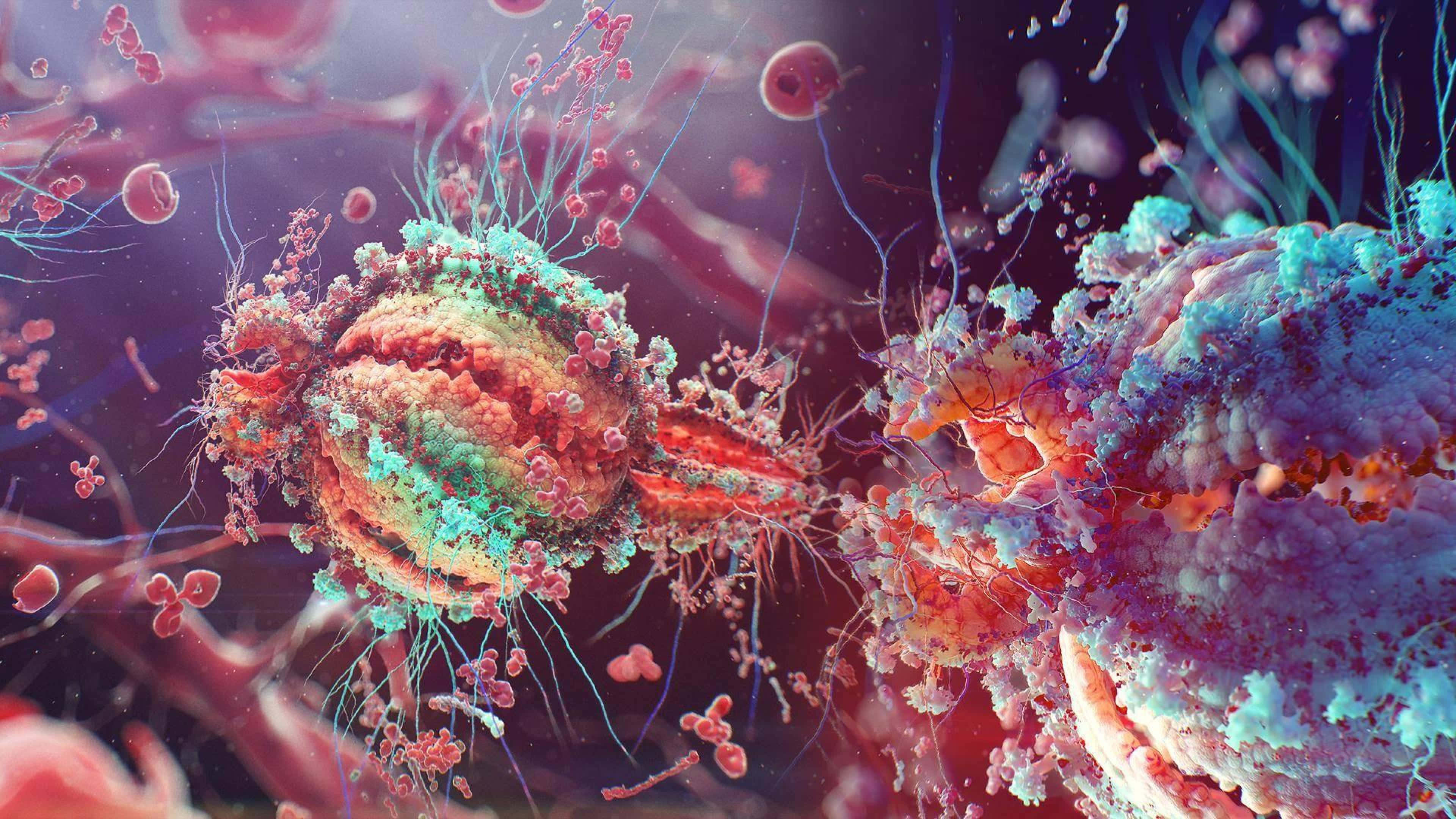 biology 桌布 壁紙 — 充滿活力的顯微鏡視圖，色彩繽紛的細胞結構帶有觸手狀附屬物，漂浮在發光的液體中。