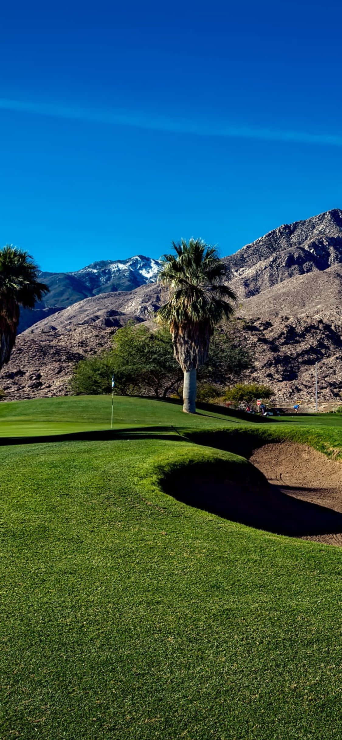 iPhone X Golf Course 桌布 壁紙 — 充滿活力的高爾夫球場果嶺，棕櫚樹和沙坑，在晴朗的藍天下，遠處有積雪的山峰。