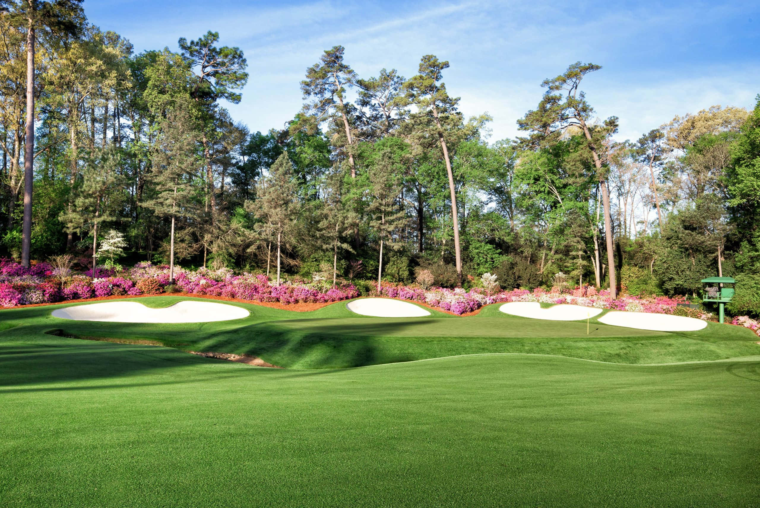 Augusta National iPhone 桌布 壁紙 — 充滿活力的高爾夫球場球道，擁有茂密的綠色草地和鮮豔的粉紅色杜鵑花，在晴朗的藍天下環繞著沙坑。