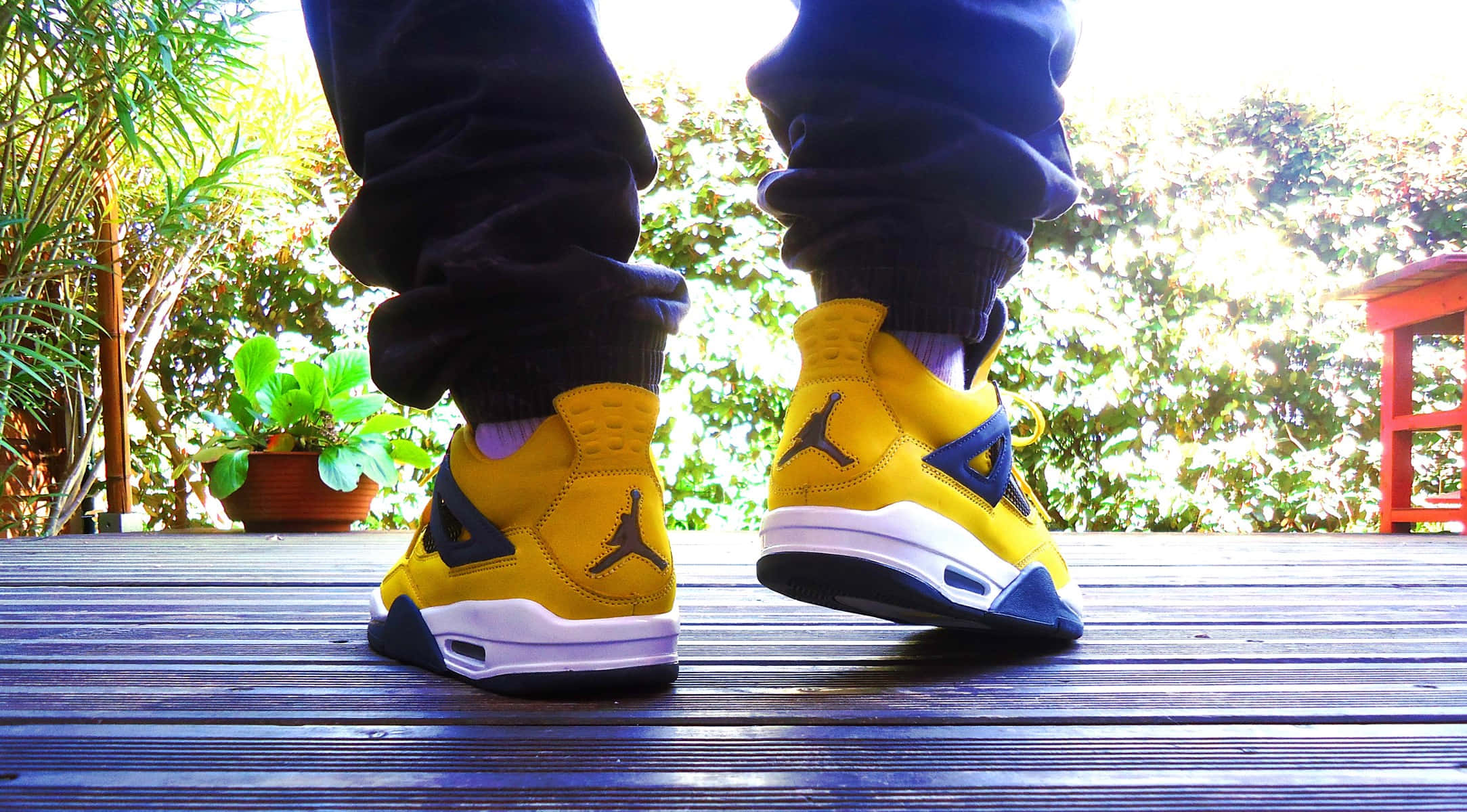 Yellow Jordan 桌布 壁紙 — 充滿活力的黃色Jordan 4運動鞋帶有藍色點綴，站在木質甲板上，周圍環繞著茂密的綠色植物和明亮的陽光。