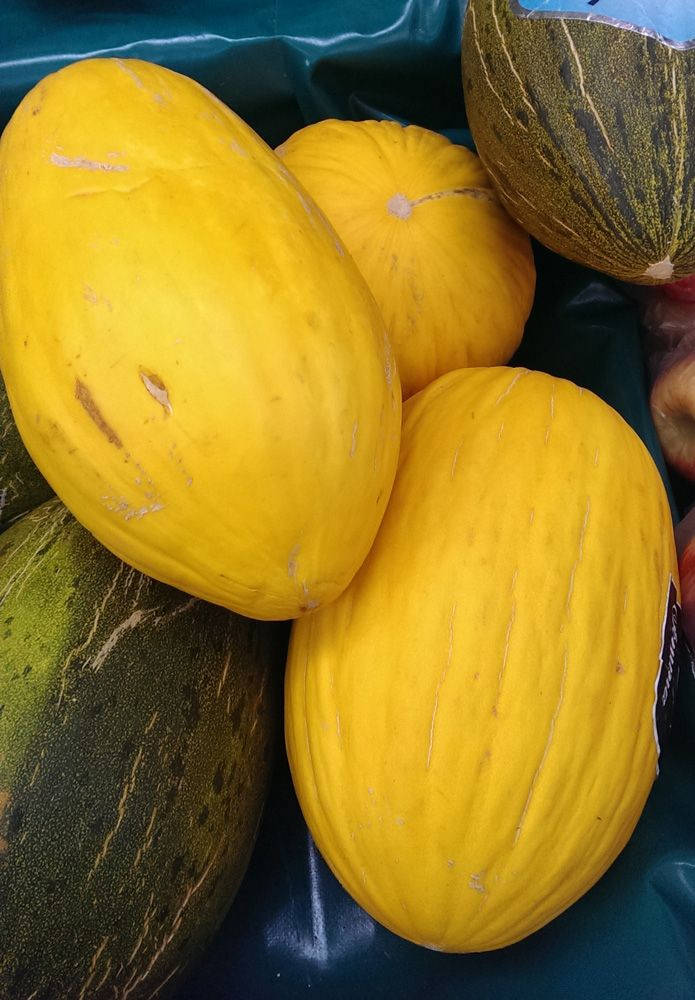 Fruit 桌布 壁紙 — 充滿活力的黃色和綠色南瓜放在一個青綠色的塑膠箱中，表皮有紋理和自然瑕疵。