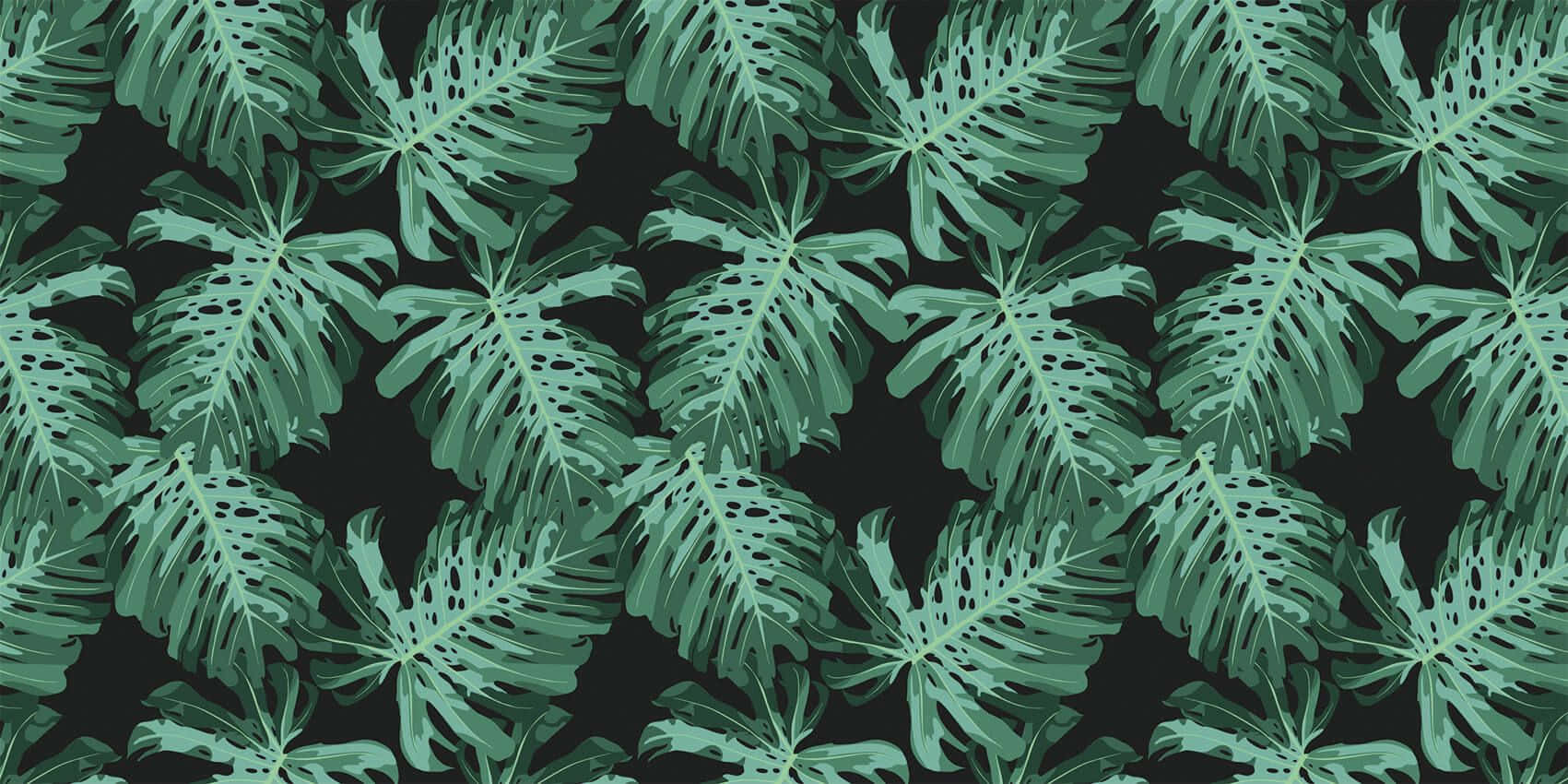 Aesthetic Palm Leaves 桌布 壁紙 — 充滿活力的龜背竹葉以青綠色在深色背景上層疊，形成無縫熱帶圖案。