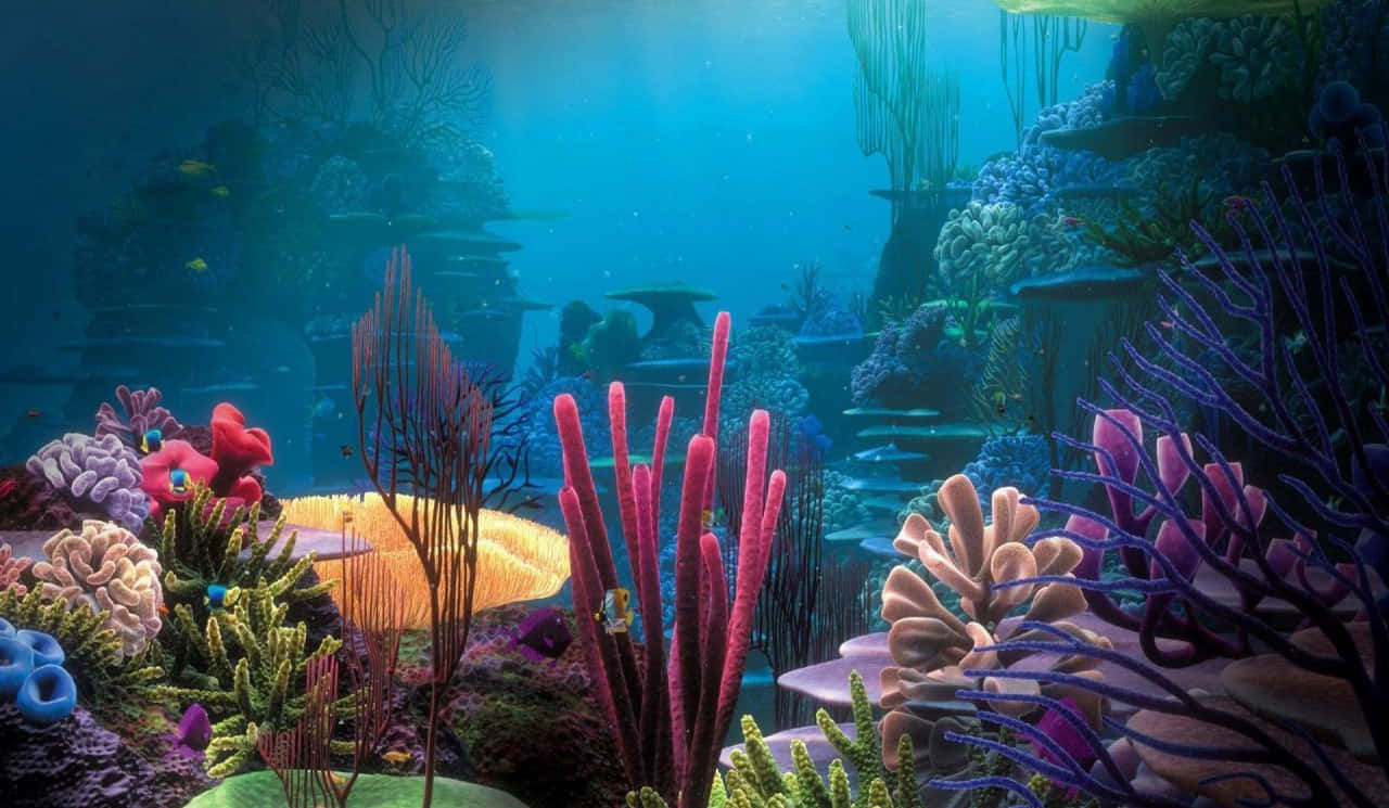 桌布 壁紙 — 充滿色彩繽紛海洋生物的活力珊瑚礁，沐浴在藍色水下陽光中。