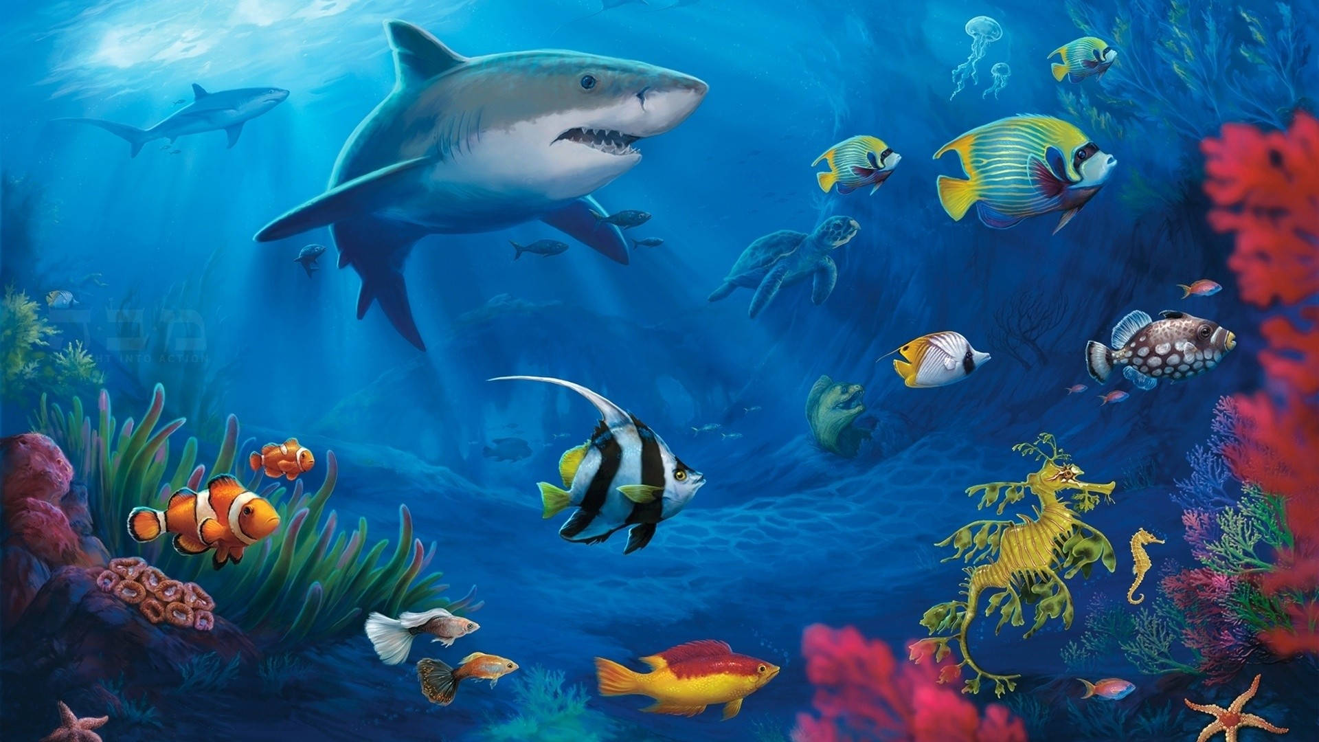 桌布 壁紙 — 充滿色彩繽紛的魚類、鯊魚、海龜和珊瑚的深海藍色海洋中的生動水下場景。