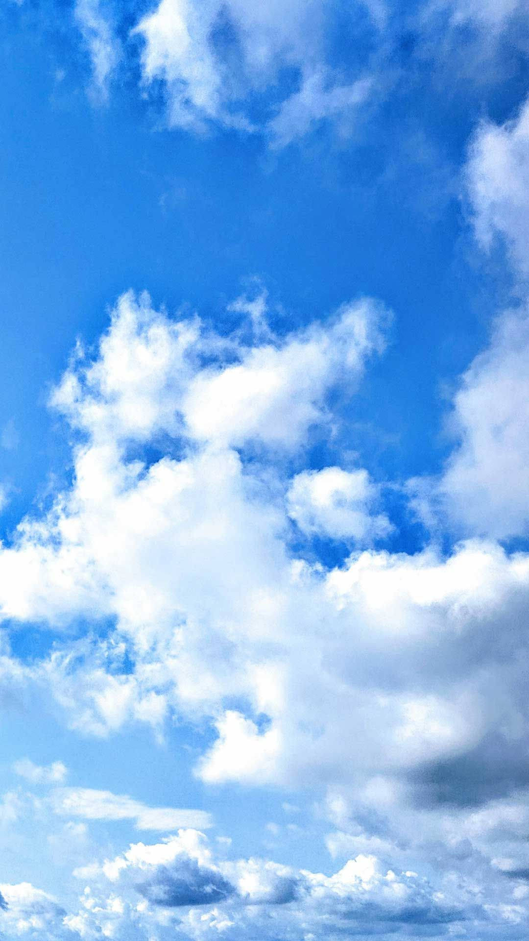 White Clouds 桌布 壁紙 — 充滿蓬鬆白雲的鮮豔藍天，在晴朗的白天地平線上飄移。