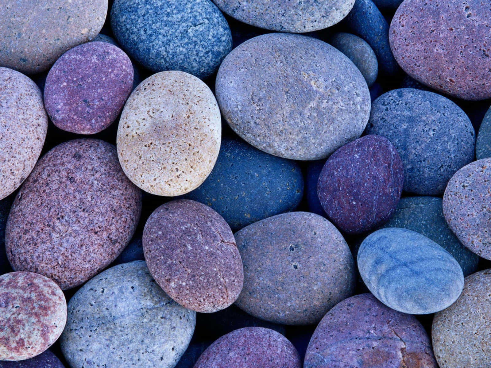 Stone 桌布 壁紙 — 光滑圓石的特寫，呈現冷色調的紫色、藍色和灰色，帶有斑點紋理。