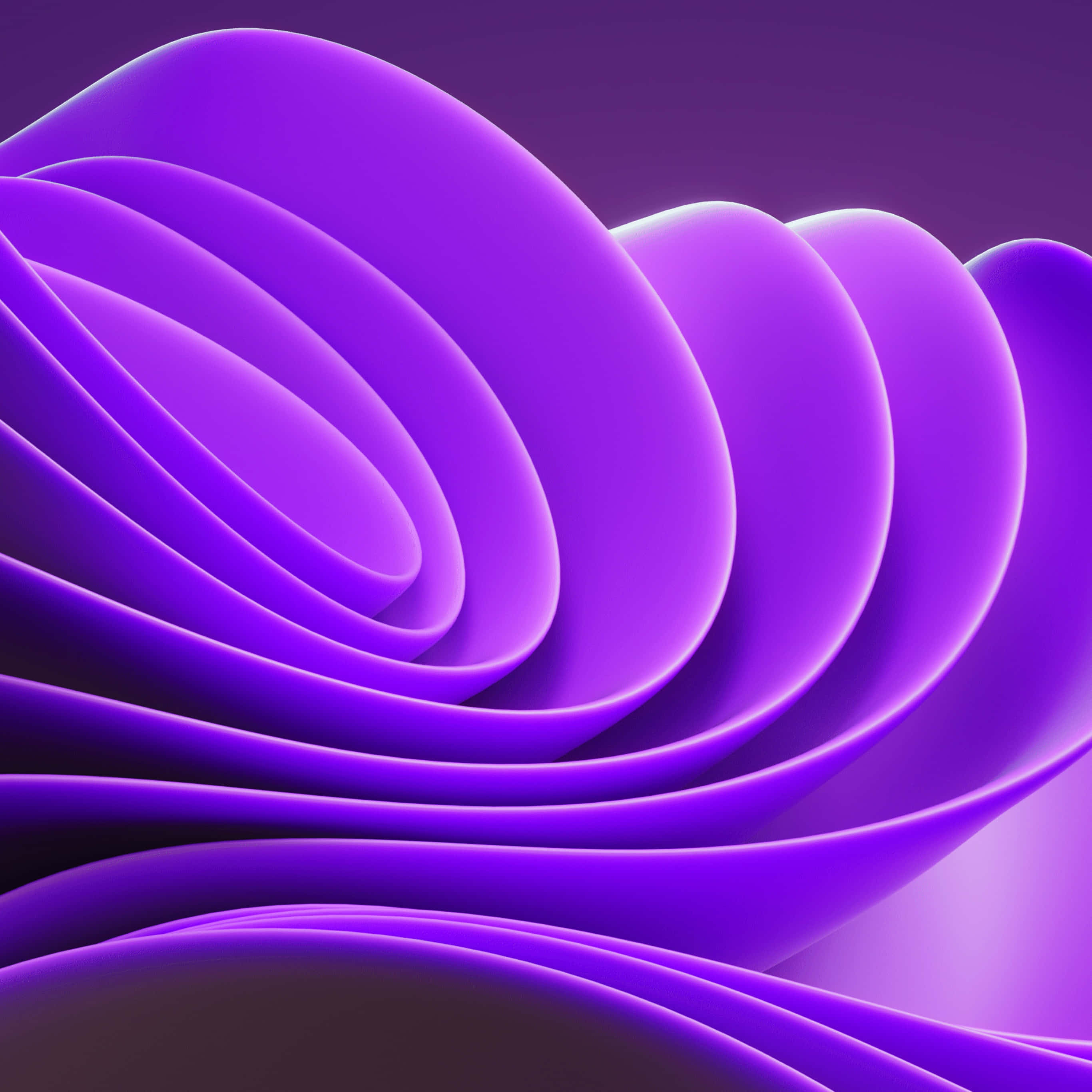 Purple Abstract 桌布 壁紙 — 光滑發光的紫色波浪在漸變背景上彎曲成迷人的螺旋。