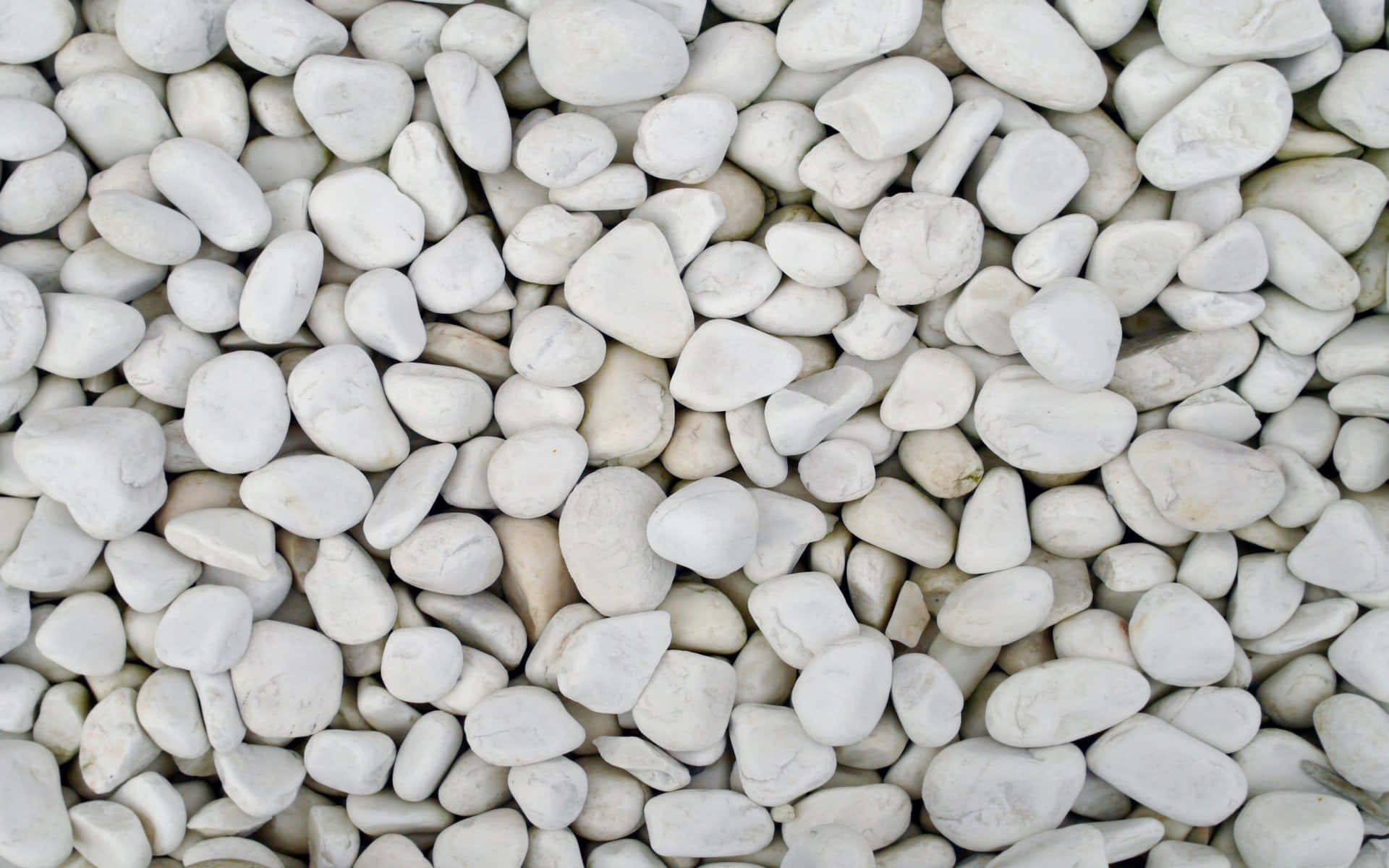 Rocks 桌布 壁紙 — 光滑白色河石的近距離特寫，帶有細微的灰色紋理，營造出乾淨簡約的質感。