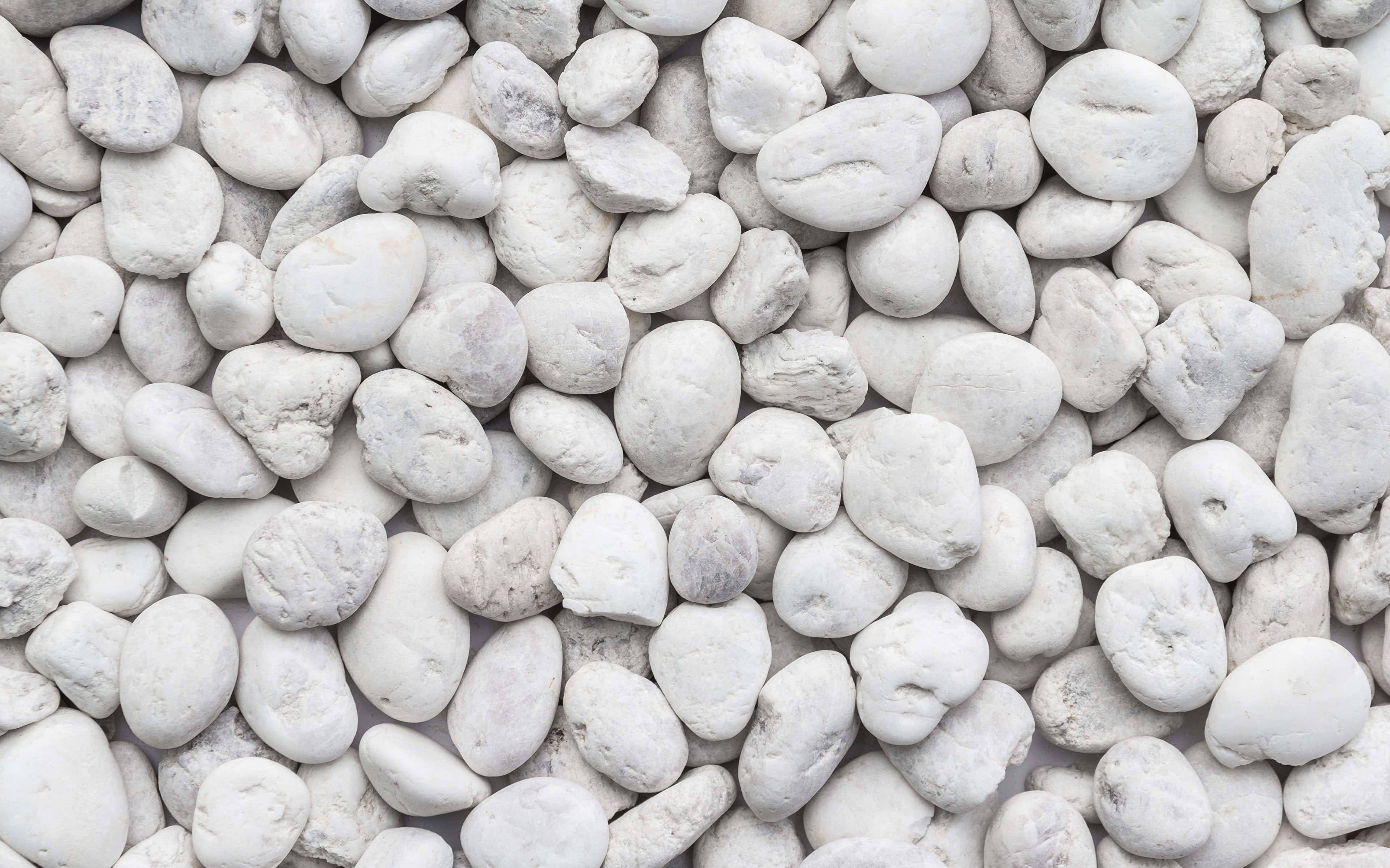Pebbles 桌布 壁紙 — 光滑白色鵝卵石的近距離特寫，帶有細微的灰色紋理，營造出乾淨簡約的自然圖案。