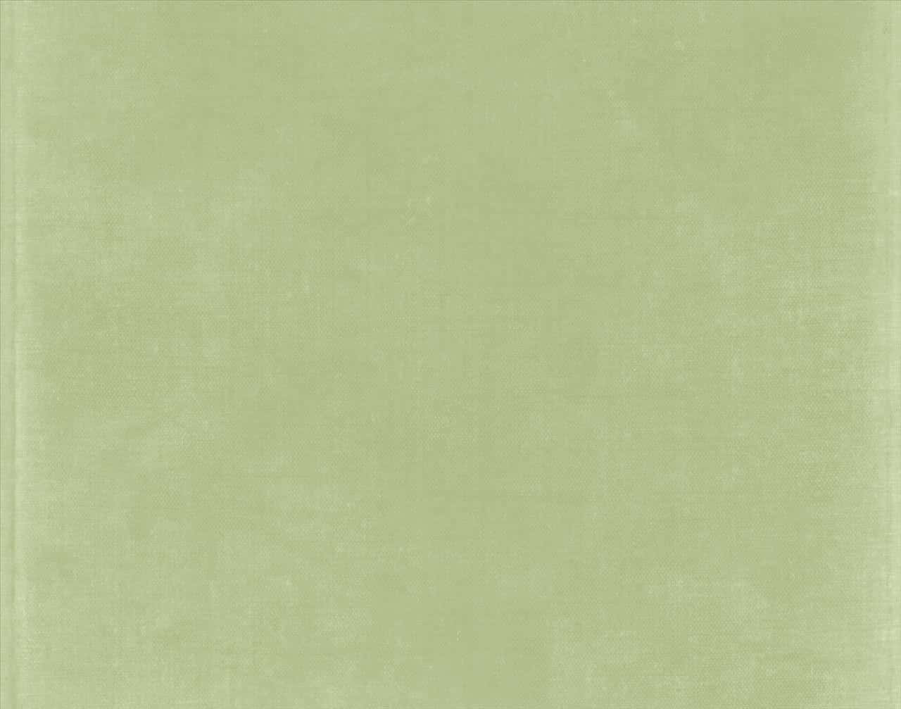 鼠尾草綠美學 桌布 壁紙 — 光滑的淡綠色布料，帶有細微紋理和均勻照明。