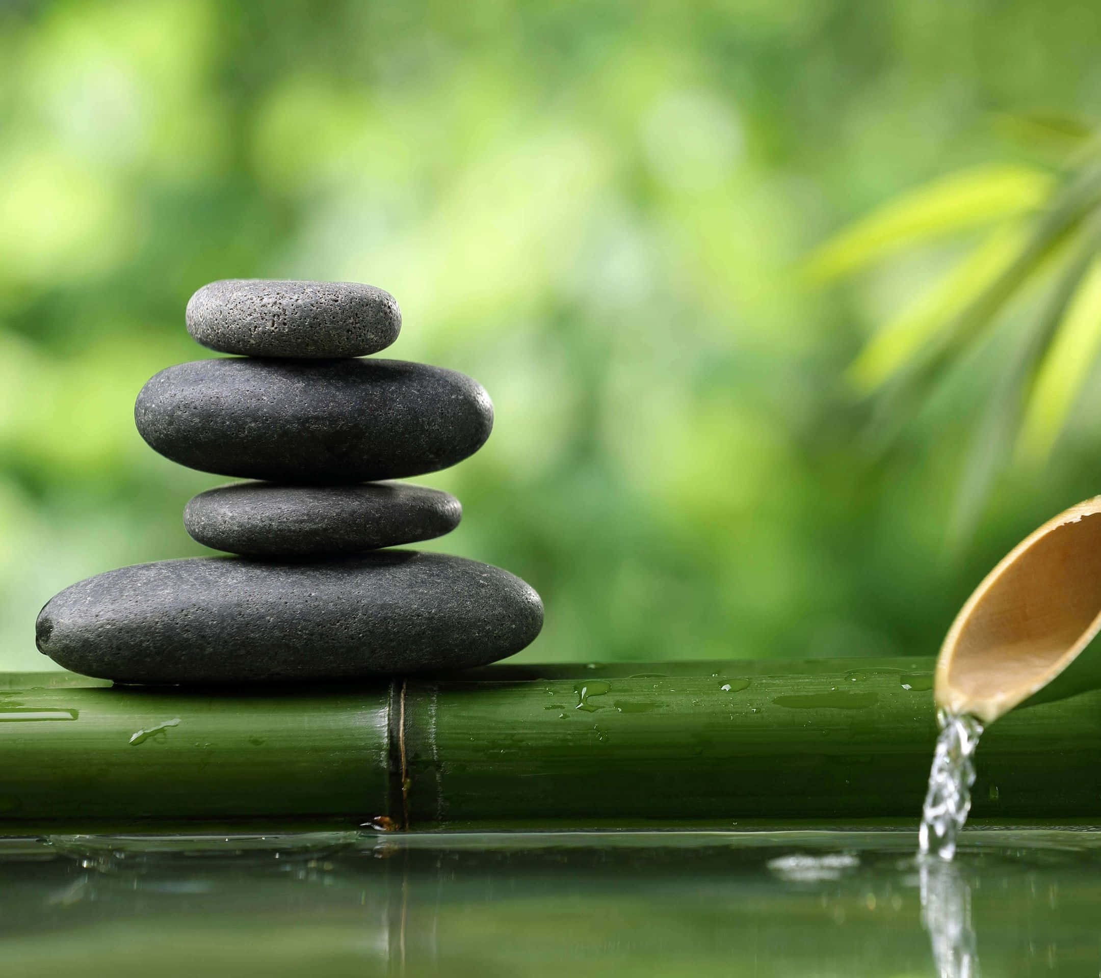 禪 桌布 壁紙 — 光滑的灰色石頭堆疊在竹竿上，清澈的水從木勺滴落，流入被茂密綠植環繞的平靜池塘。