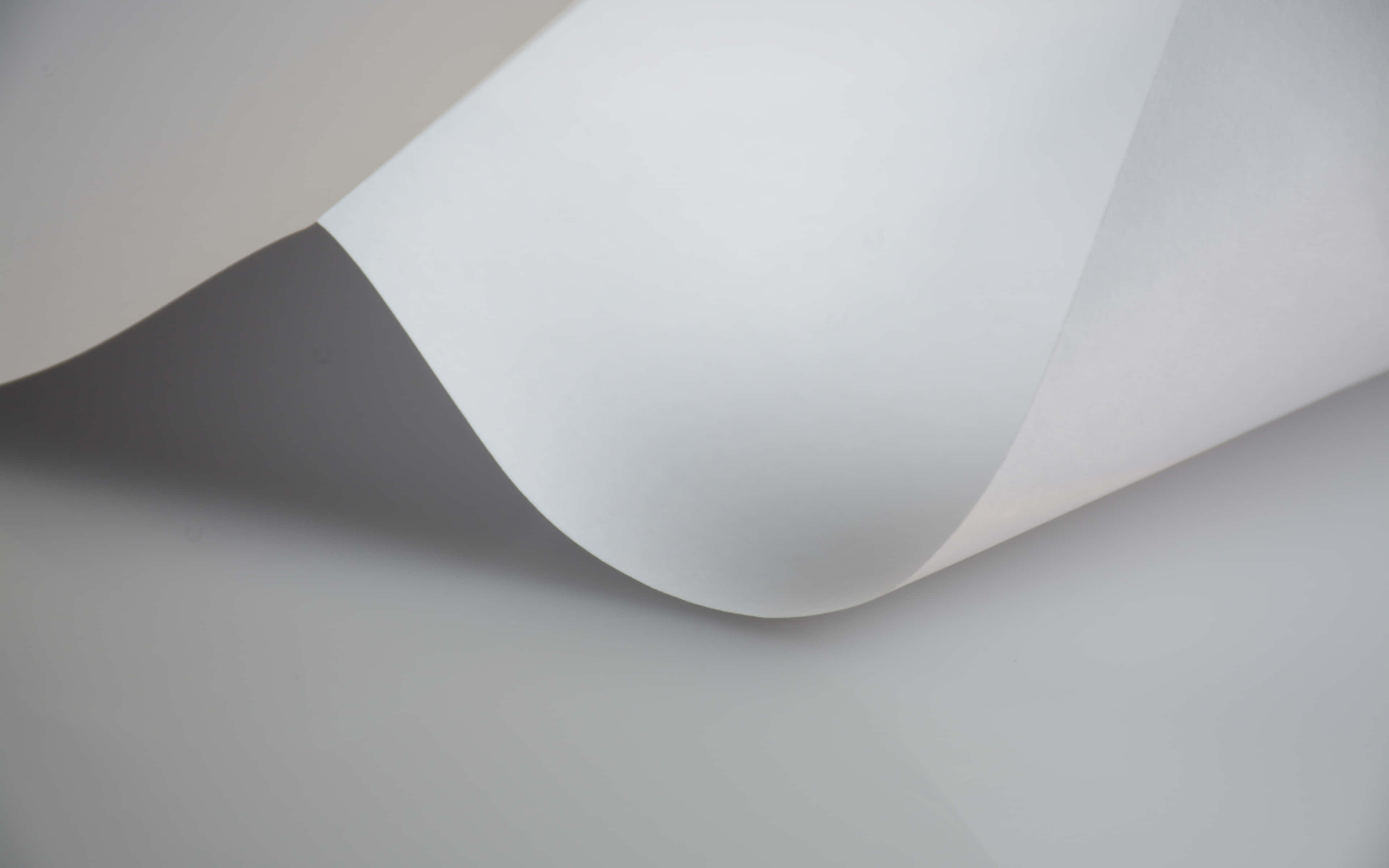 Simple Minimalist 桌布 壁紙 — 光滑的白紙在柔和的灰色背景上輕輕彎曲，營造出柔和的陰影和極簡優雅。