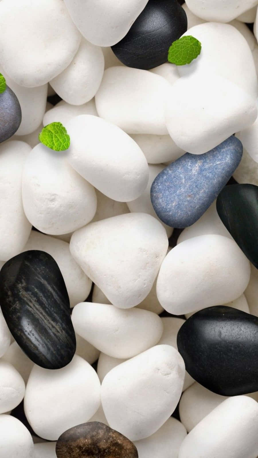 Stone 桌布 壁紙 — 光滑的白色、黑色和藍色河石的特寫，散落著細小的綠色薄荷葉。